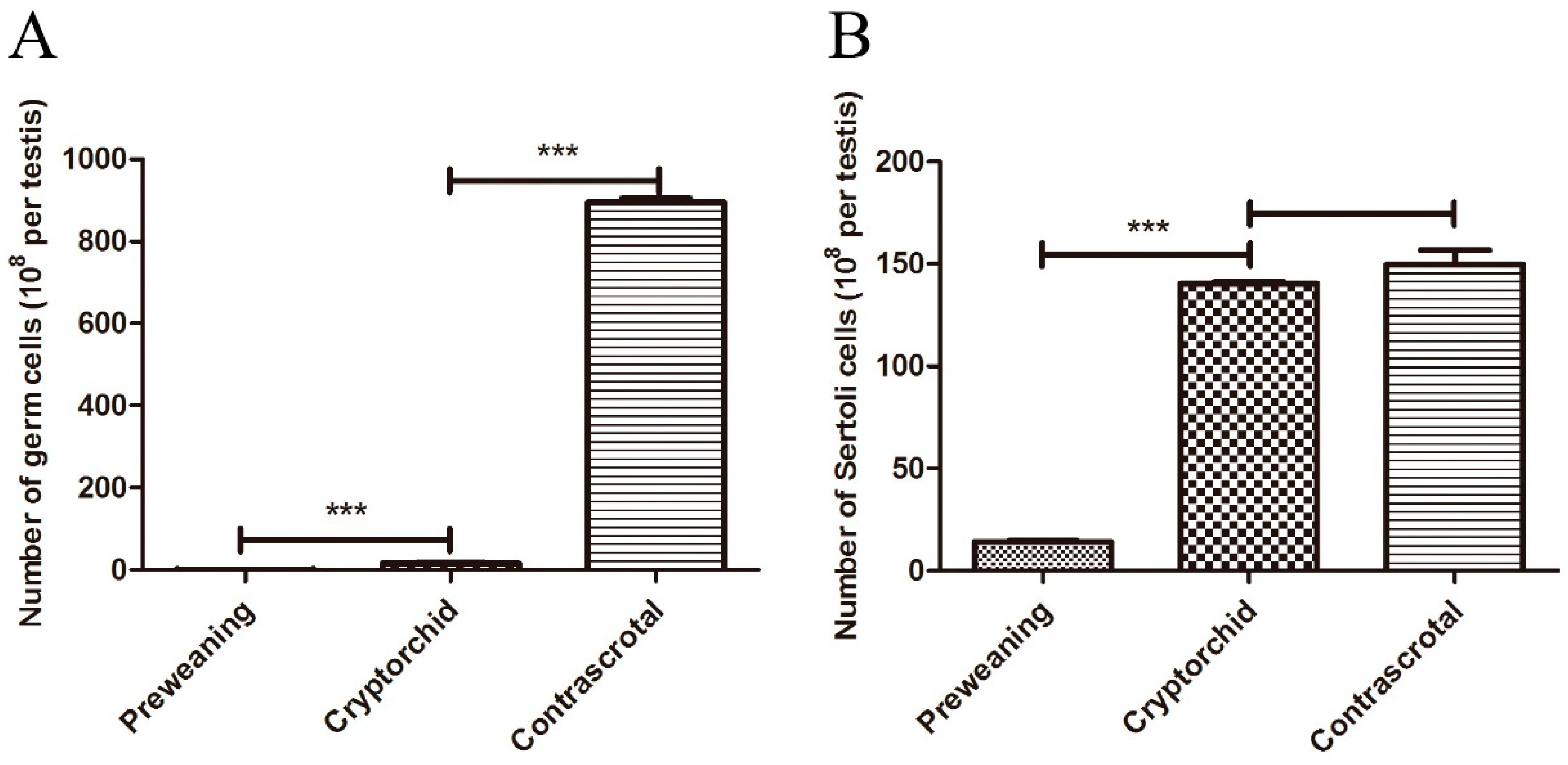Animals 11 01379 g002