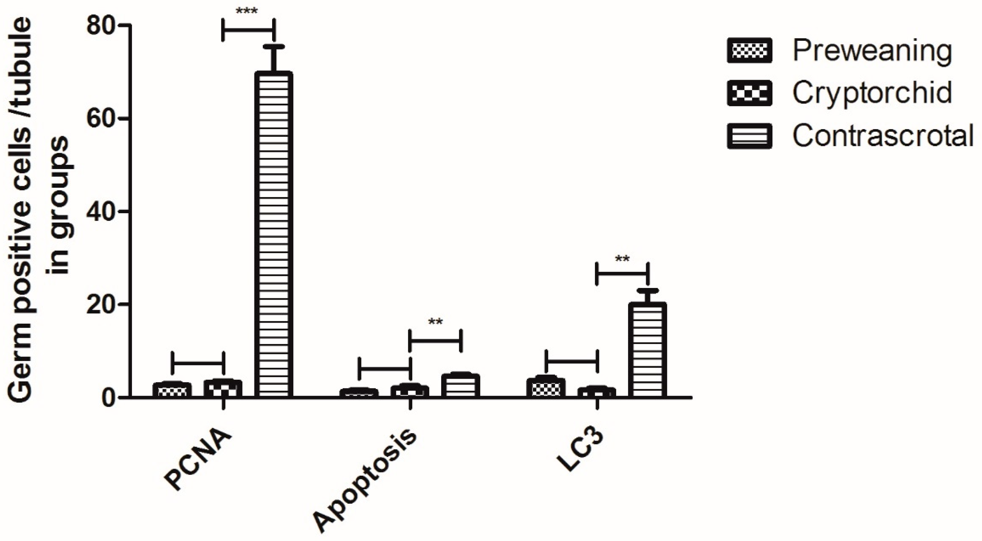 Animals 11 01379 g004