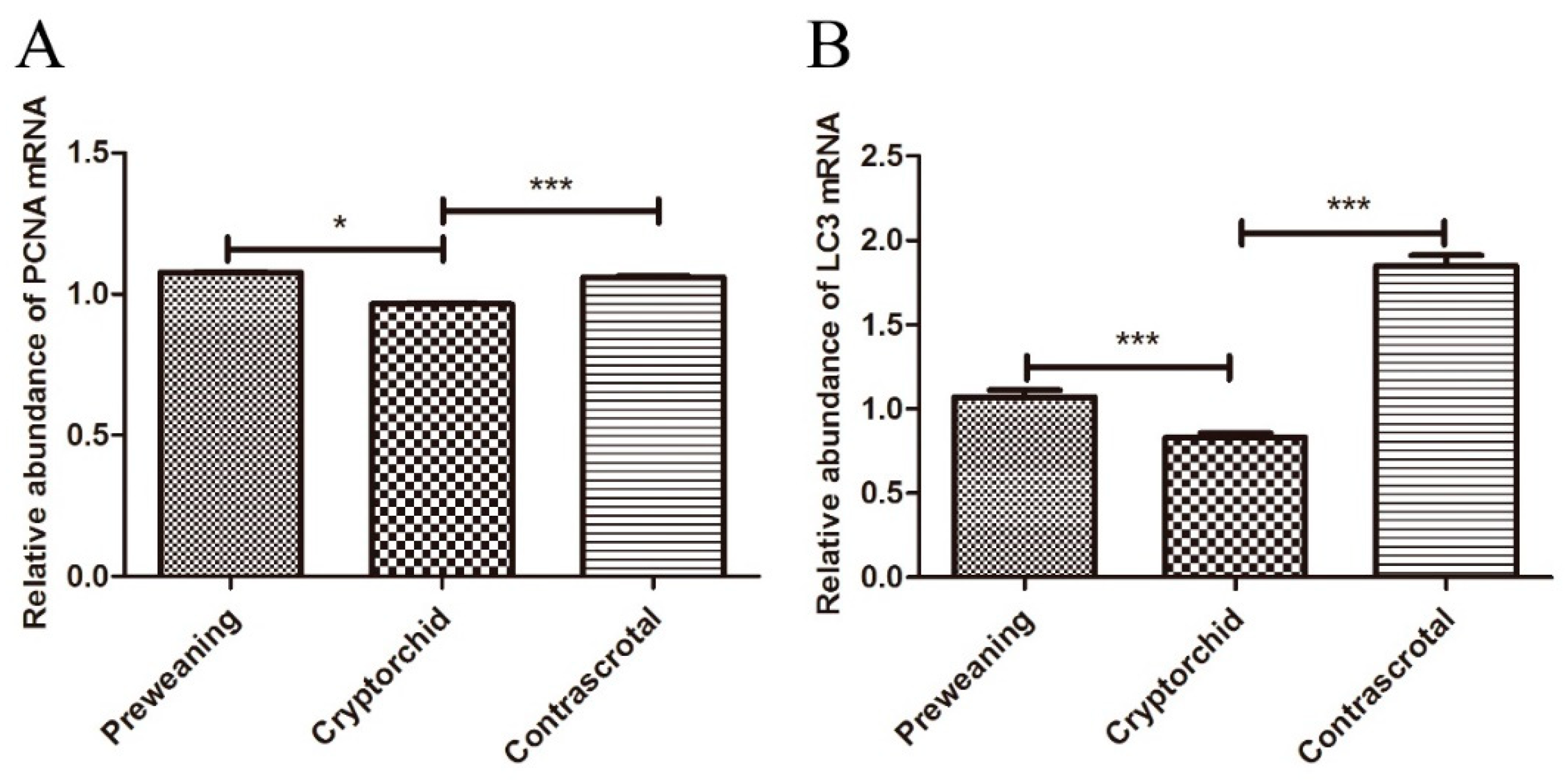 Animals 11 01379 g008