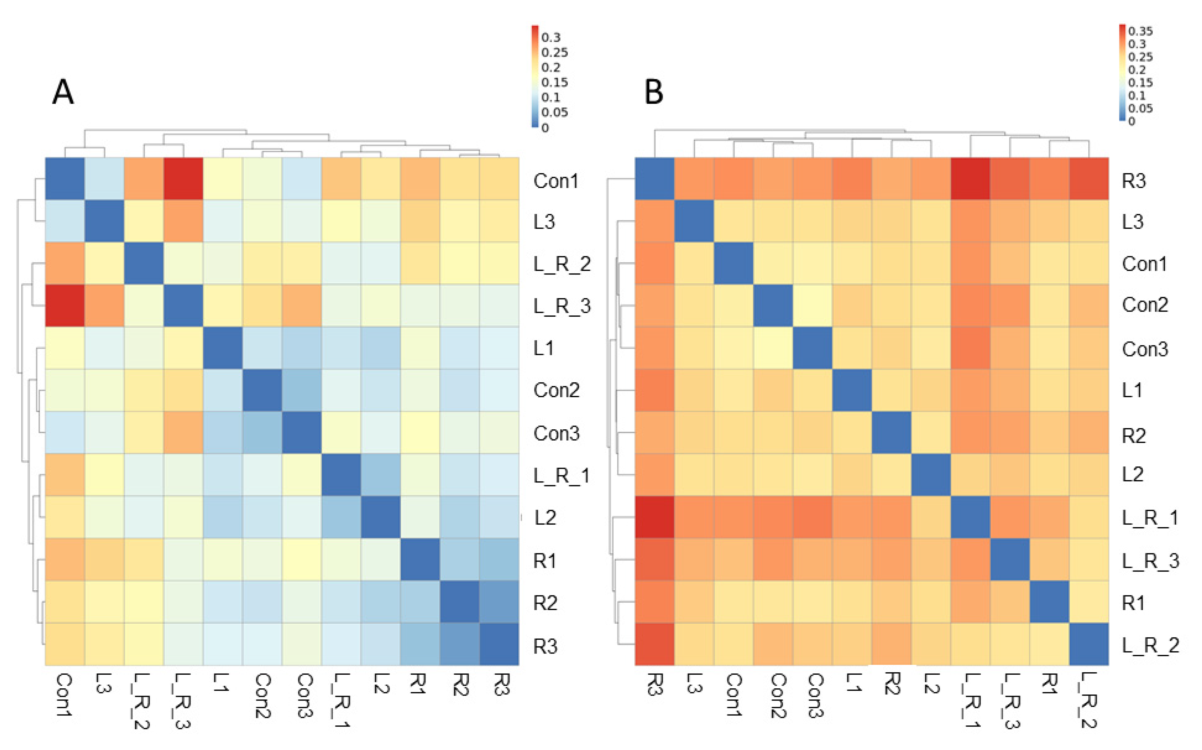 Animals 11 01381 g004