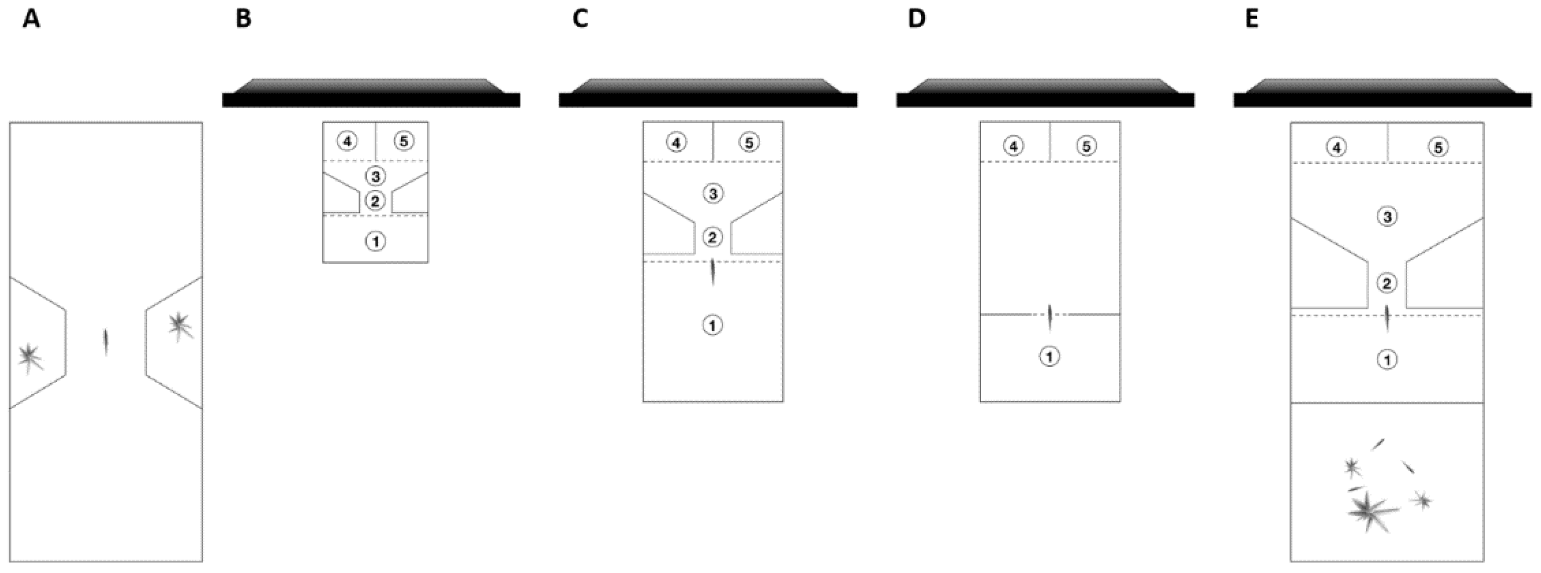 Animals 11 01397 g001