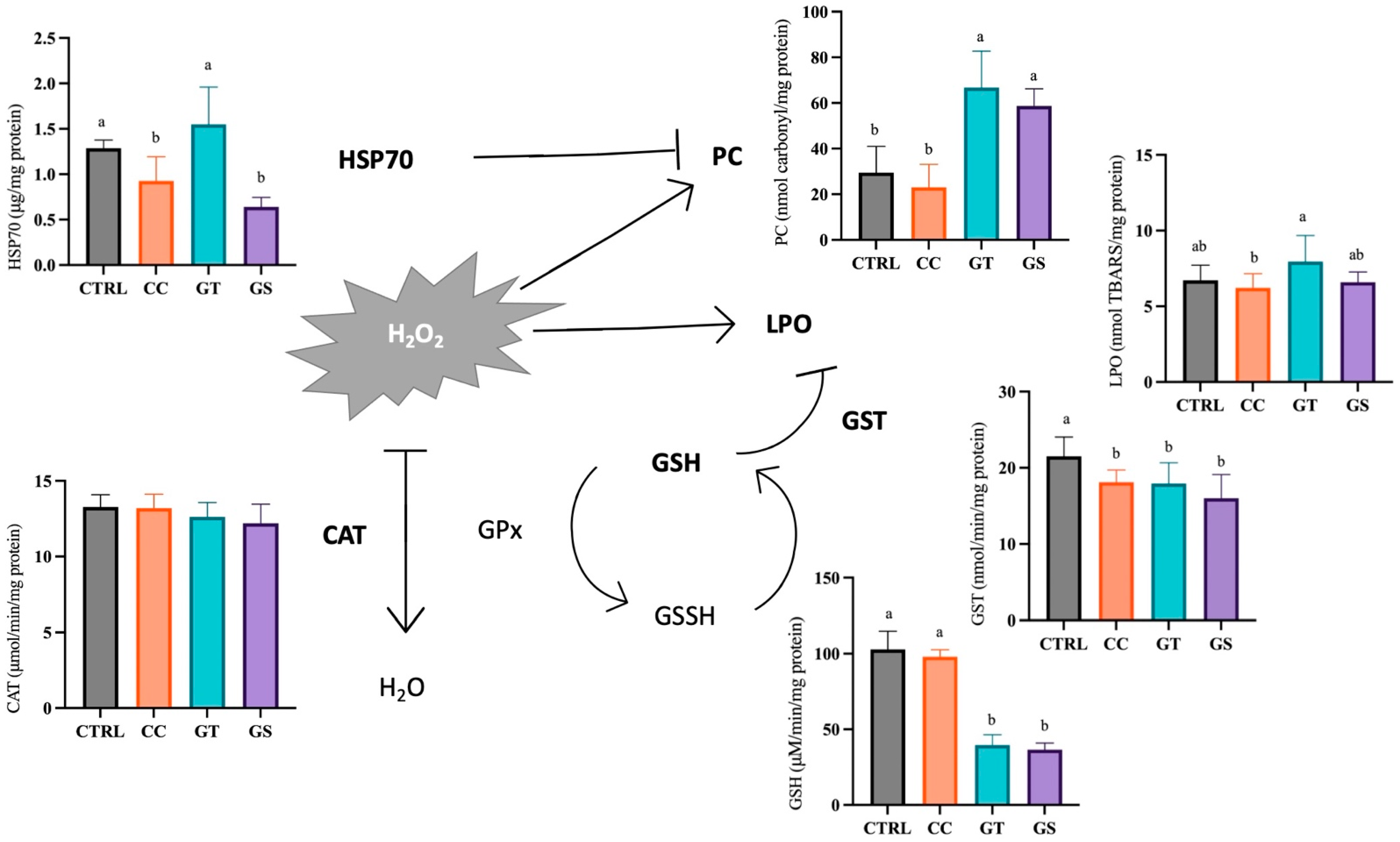Animals 11 01398 g002
