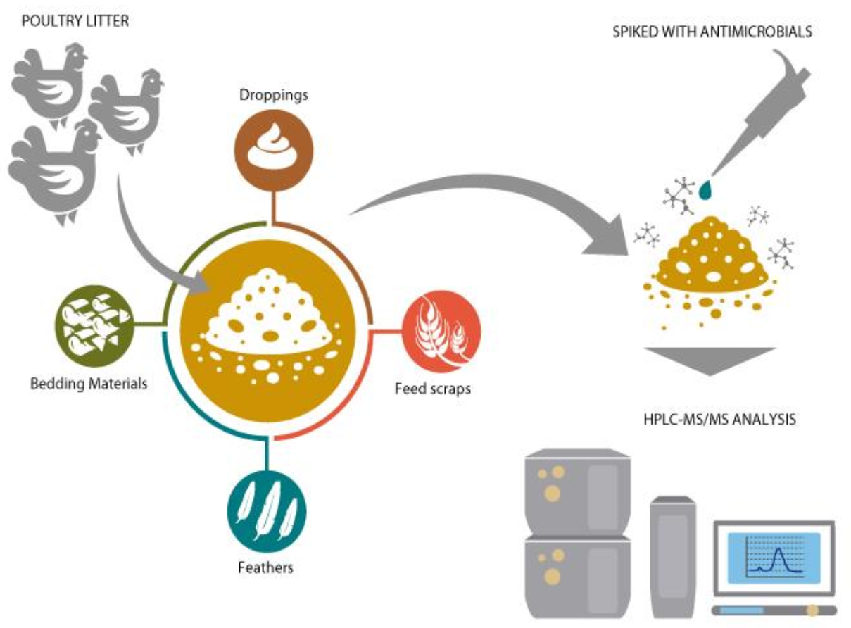 Animals 11 01399 g001