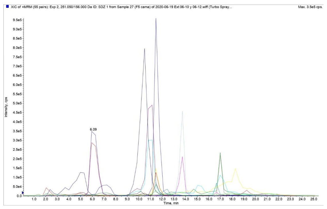 Animals 11 01399 g002
