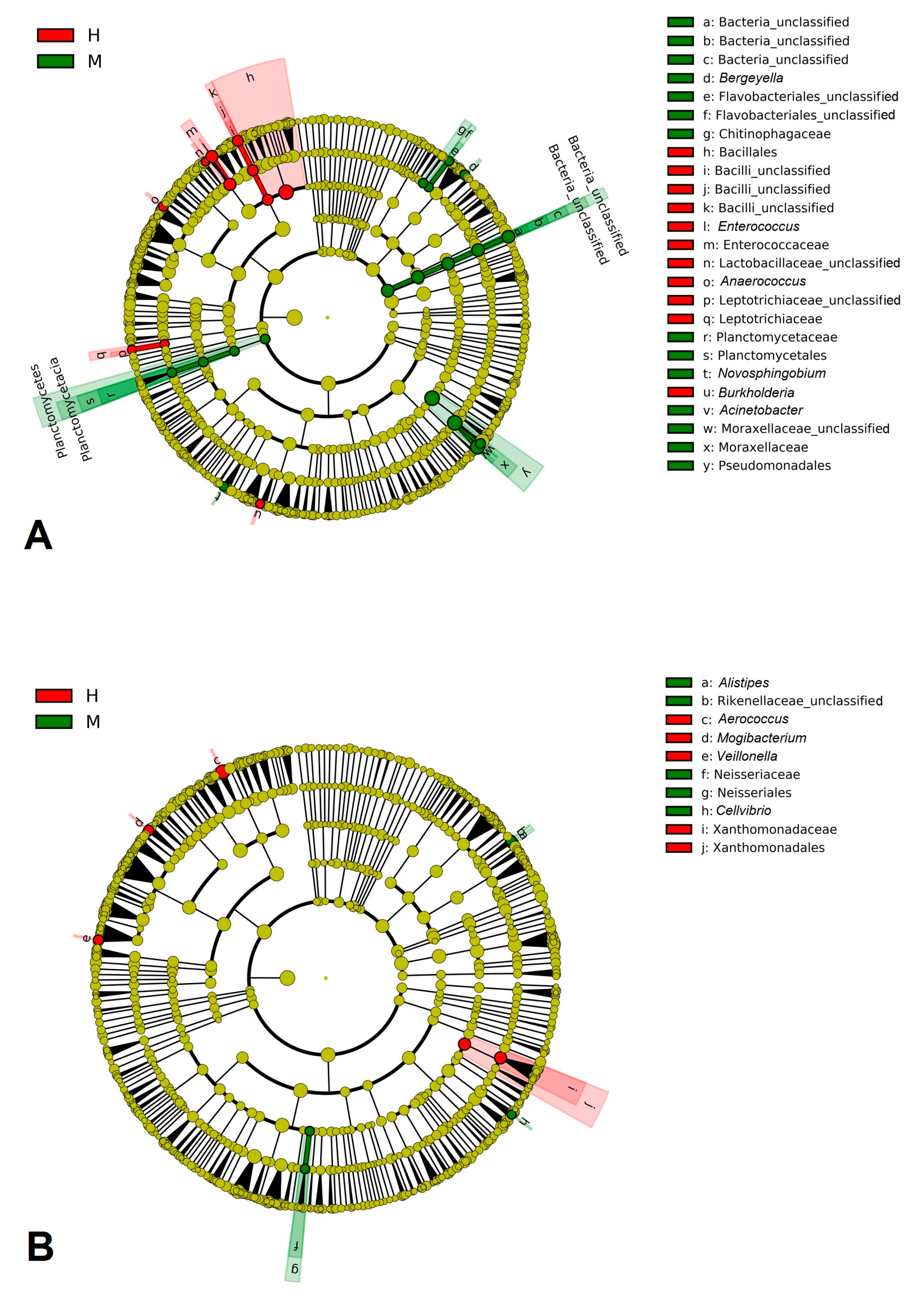 Animals Free Full Text Comparative Analysis Of Milk Microbiomes And Their Association With Bovine Mastitis In Two Farms In Central Russia Html