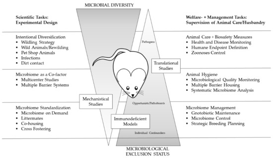 Animals Special Issue Laboratory Animals