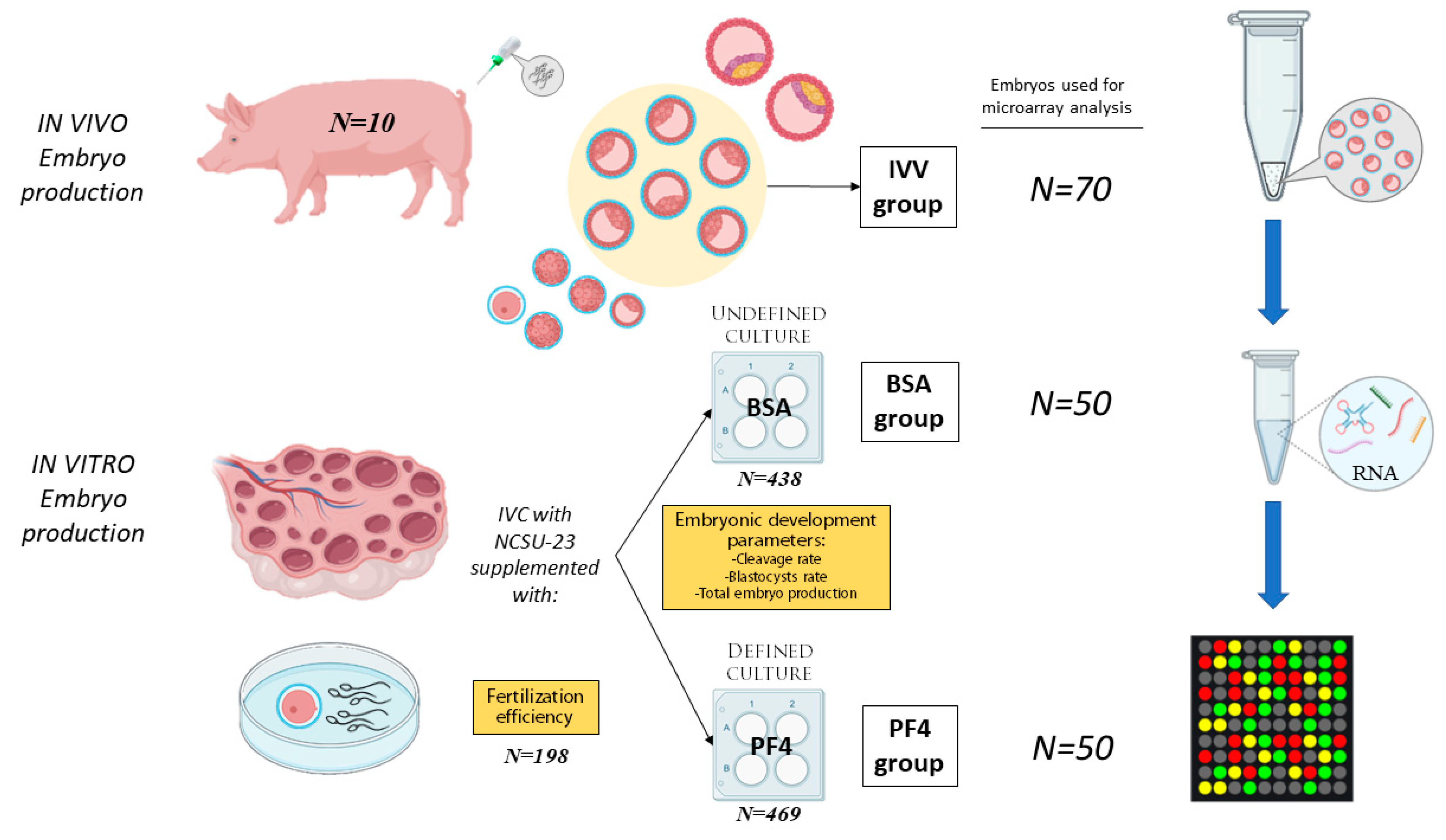 Animals 11 01414 g001 Animals 11 01414 g001