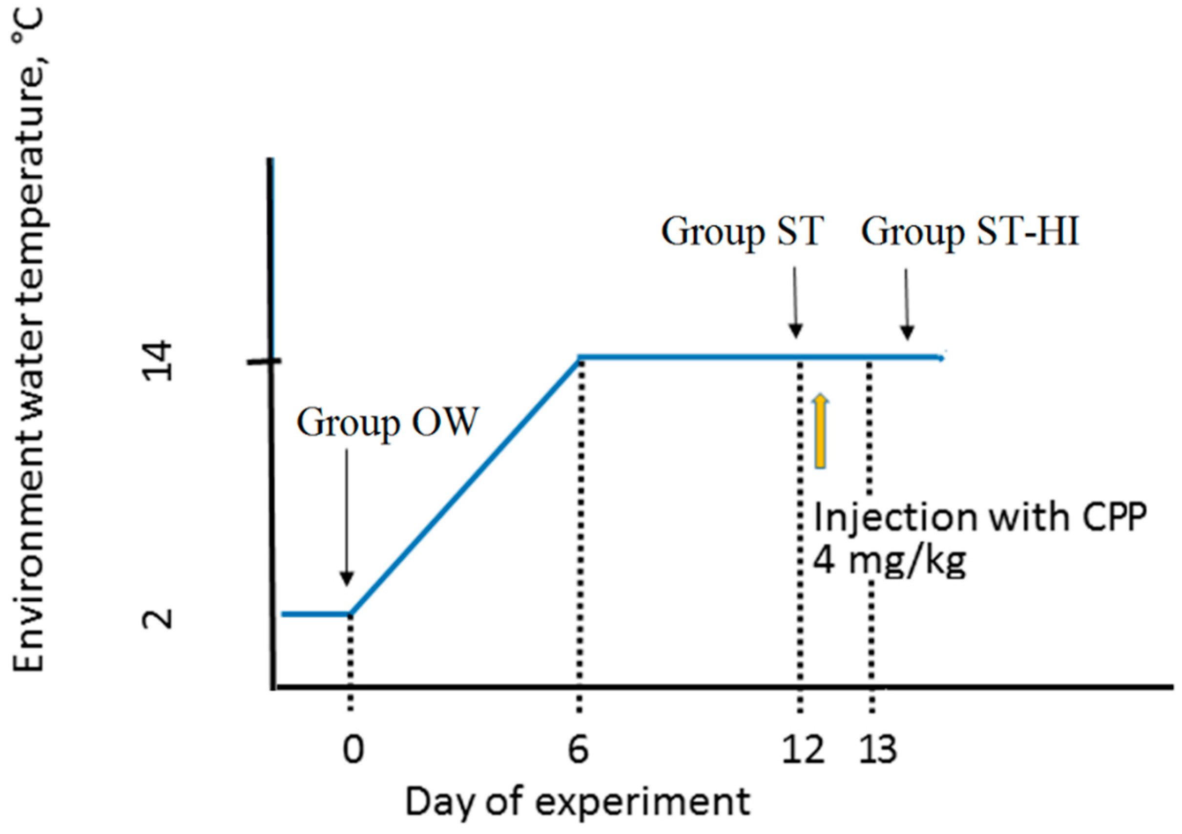 Animals 11 01417 g001
