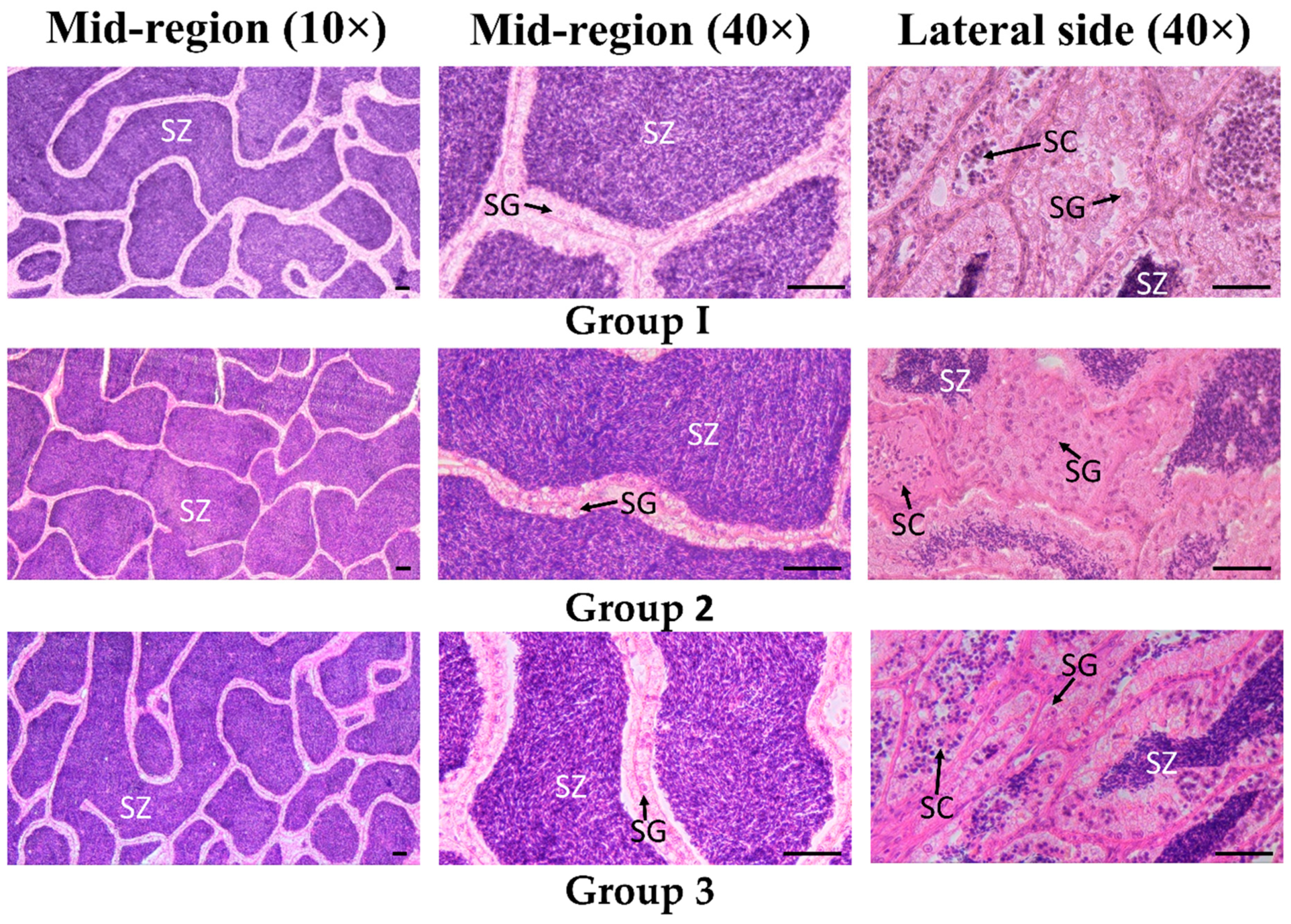 Animals 11 01417 g007