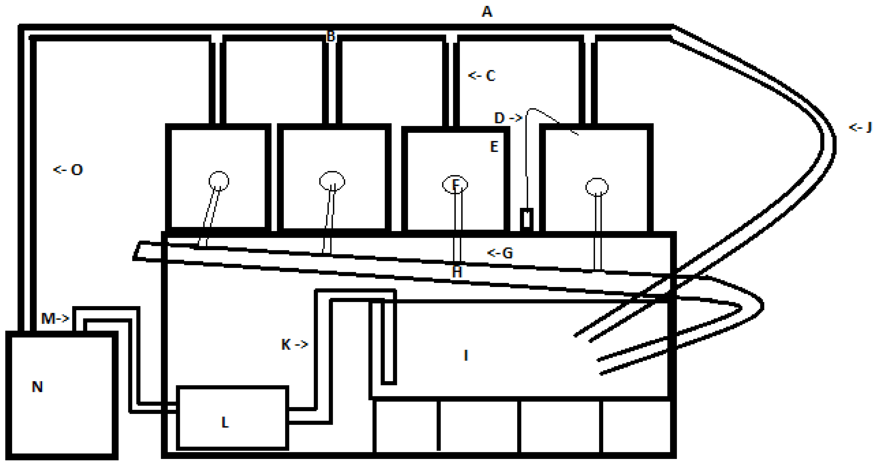 Animals 11 01419 g001