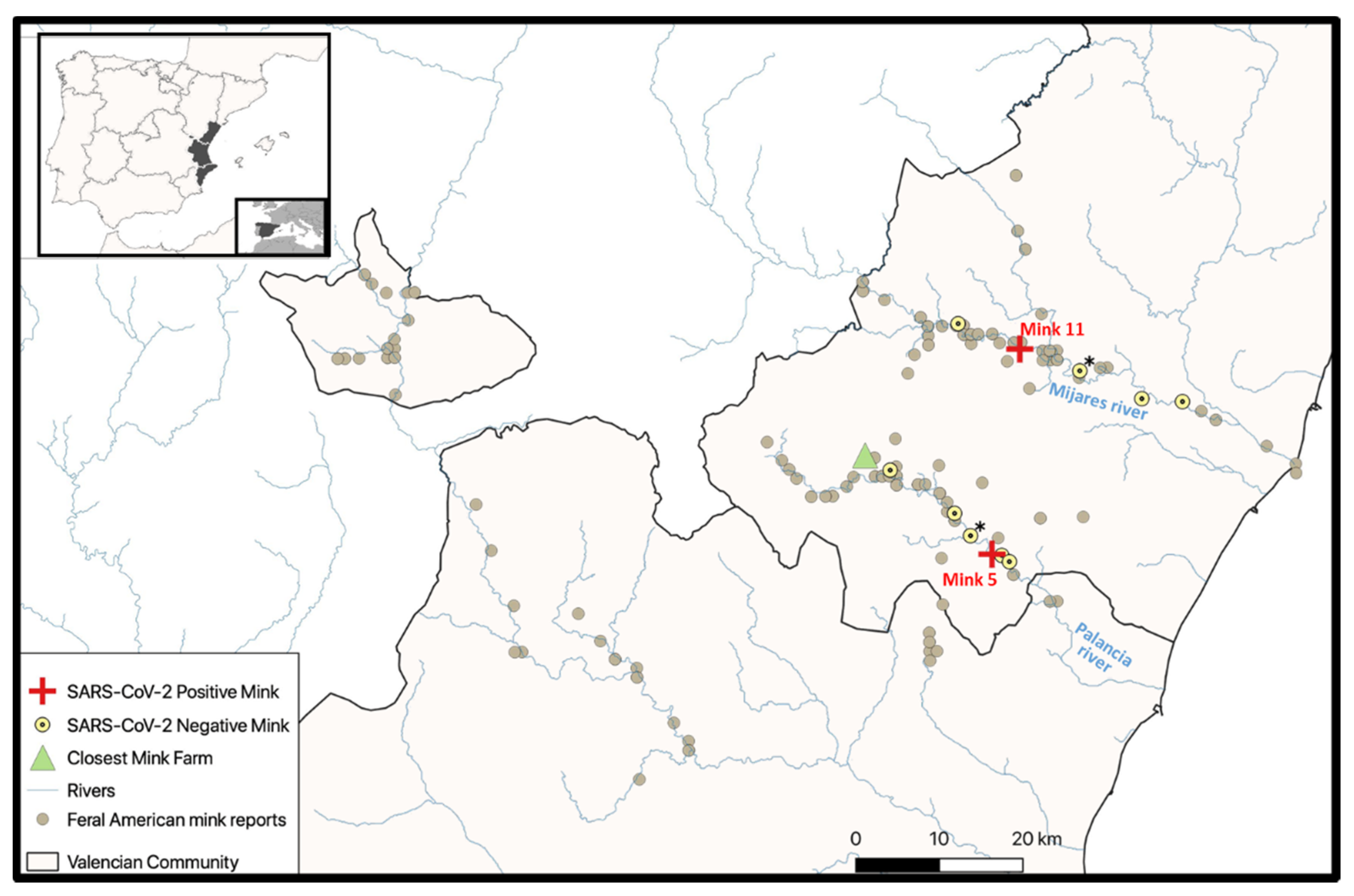 Animals 11 01422 g001 Animals 11 01422 g001