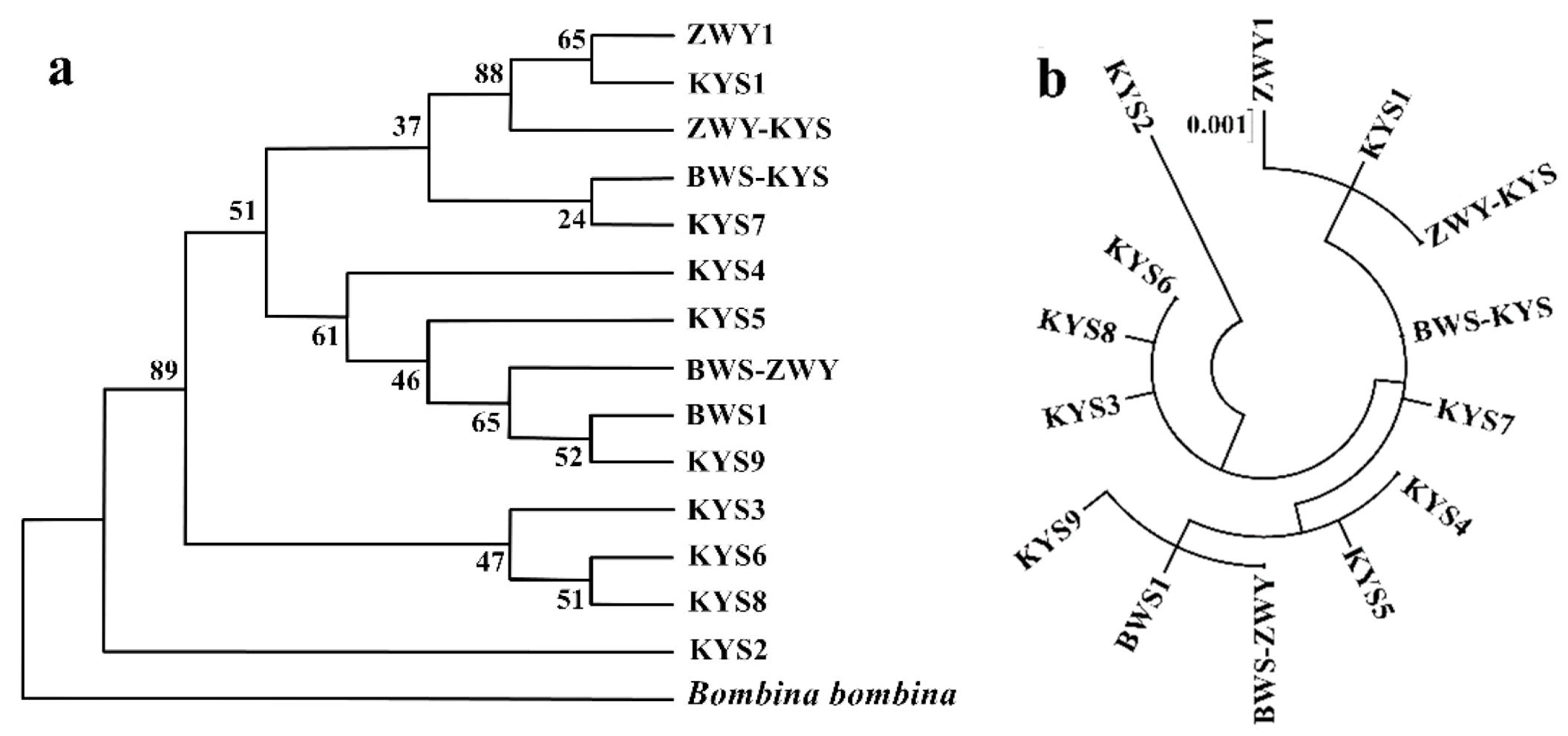 Animals 11 01429 g001 Animals 11 01429 g001