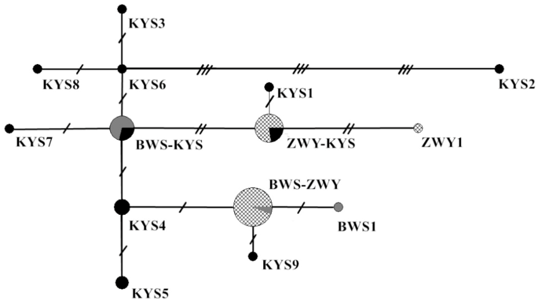 Animals 11 01429 g002 Animals 11 01429 g002