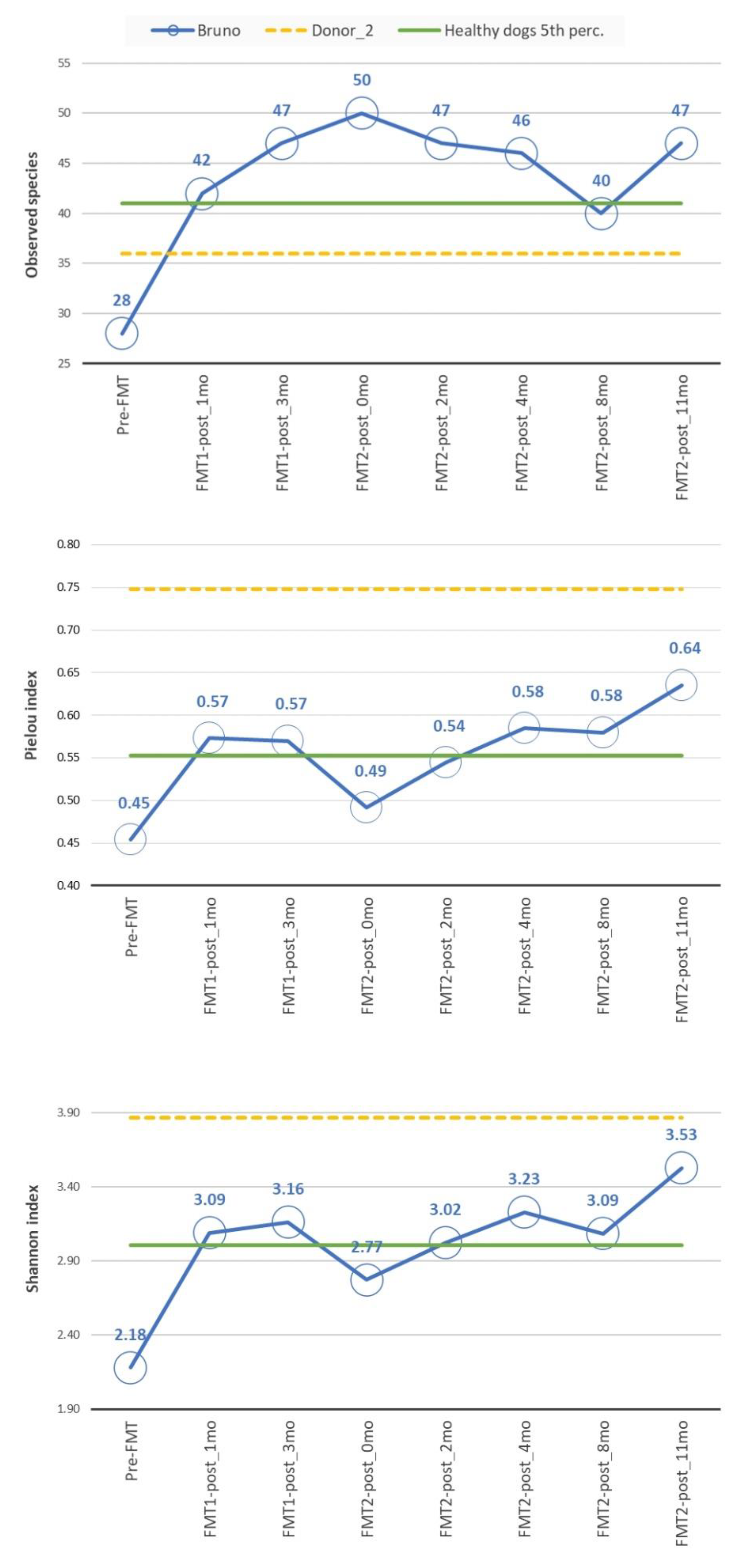 Animals 11 01433 g002