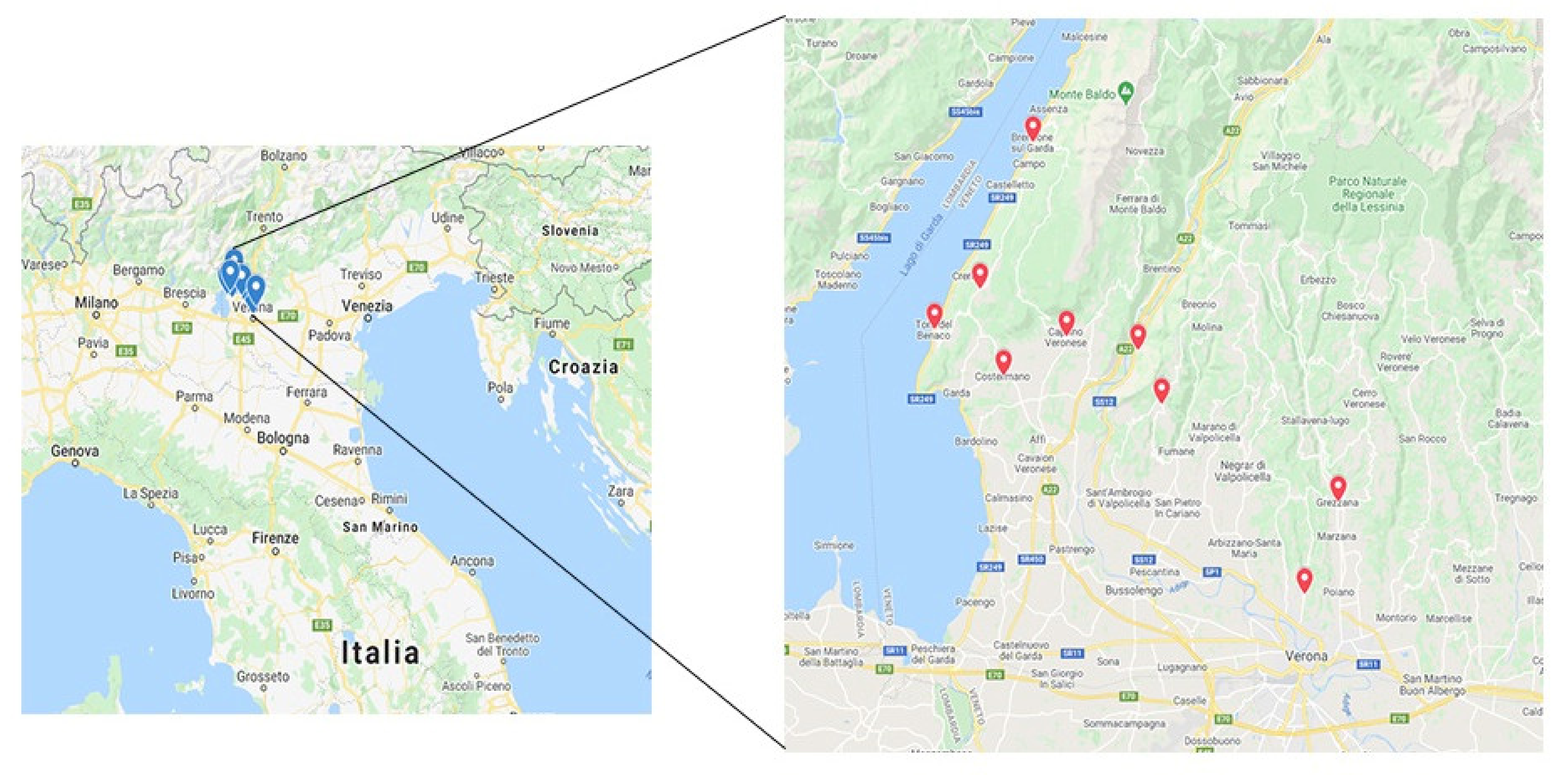 Animals 11 01434 g001