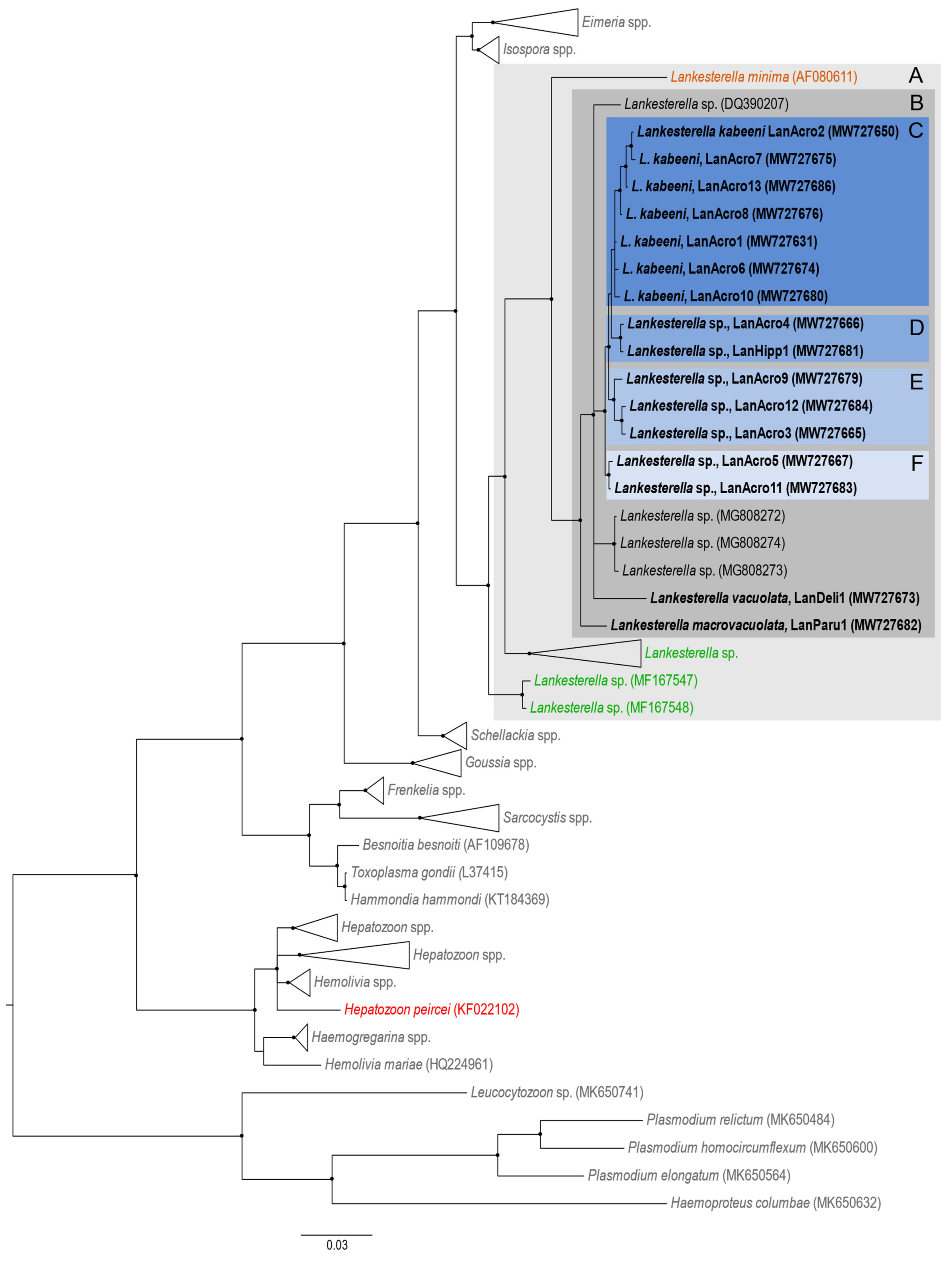 Animals 11 01451 g001 Animals 11 01451 g001