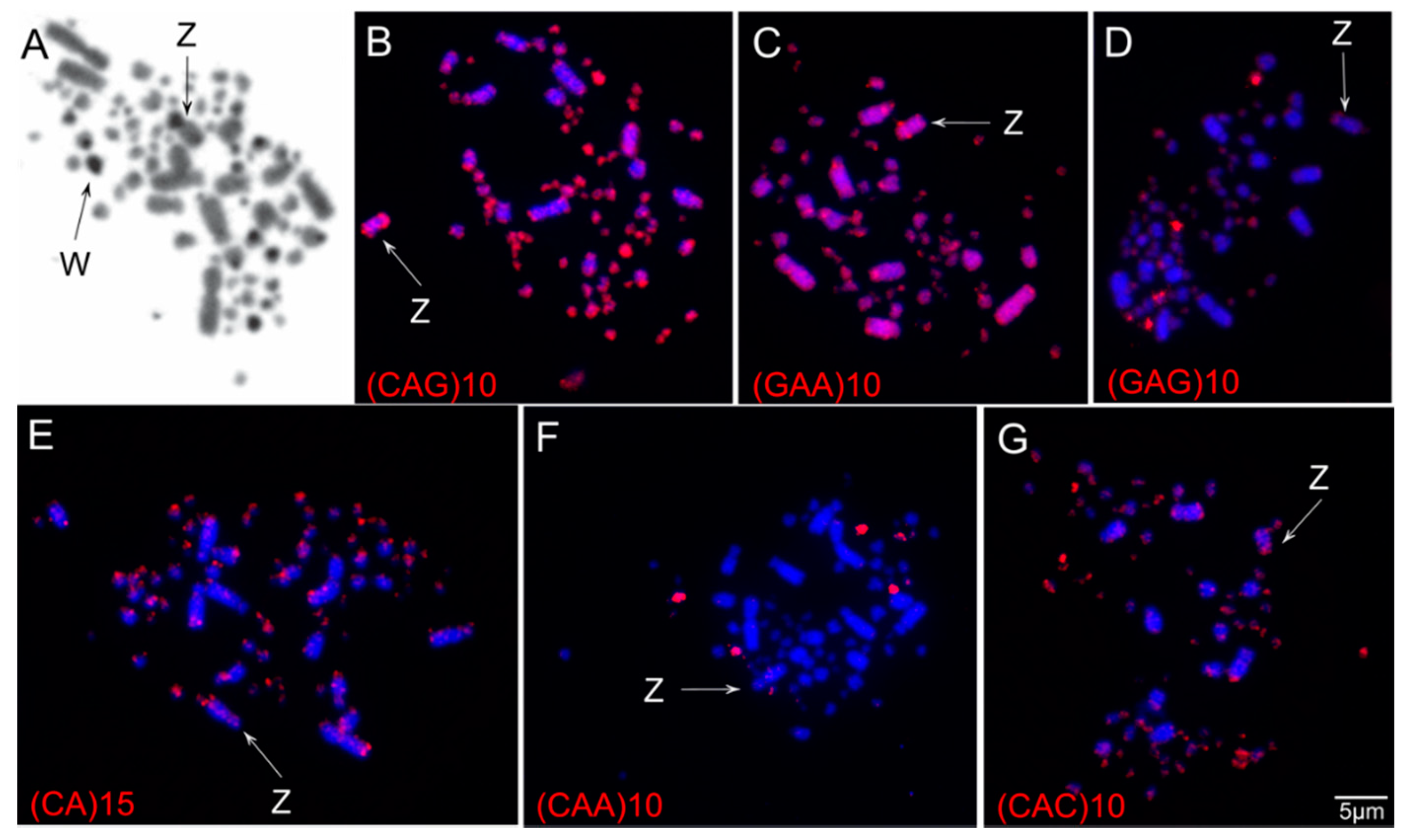 Animals 11 01456 g002 Animals 11 01456 g002