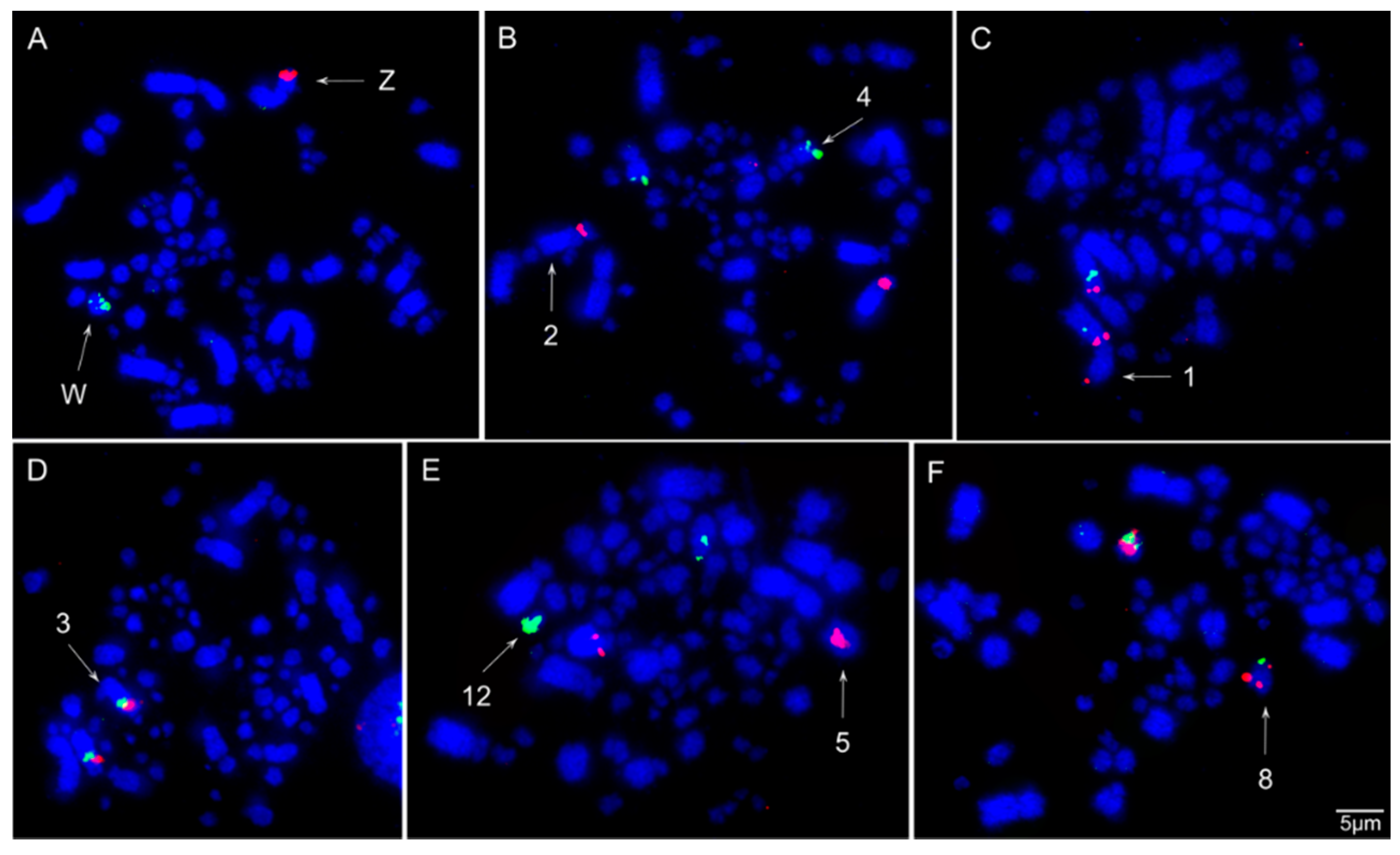 Animals 11 01456 g003 Animals 11 01456 g003
