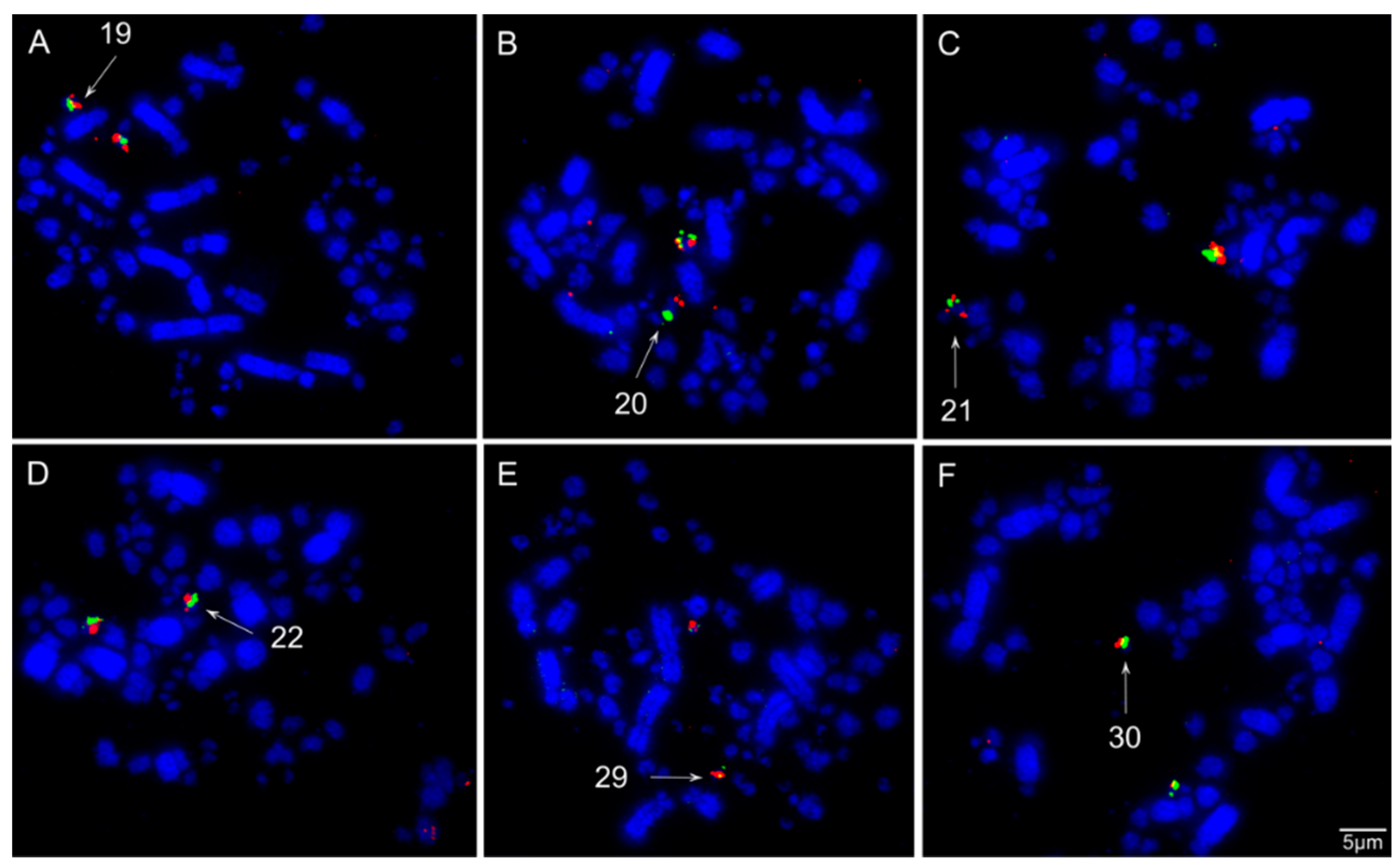 Animals 11 01456 g004 Animals 11 01456 g004