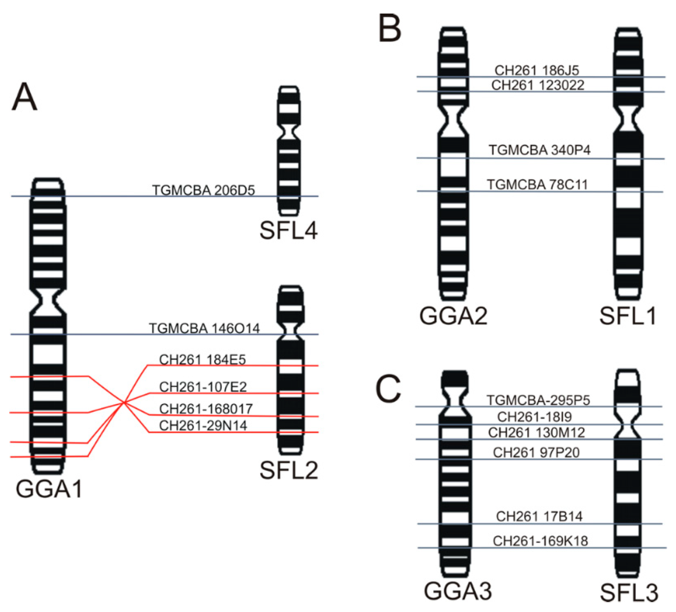 Animals 11 01456 g005 Animals 11 01456 g005