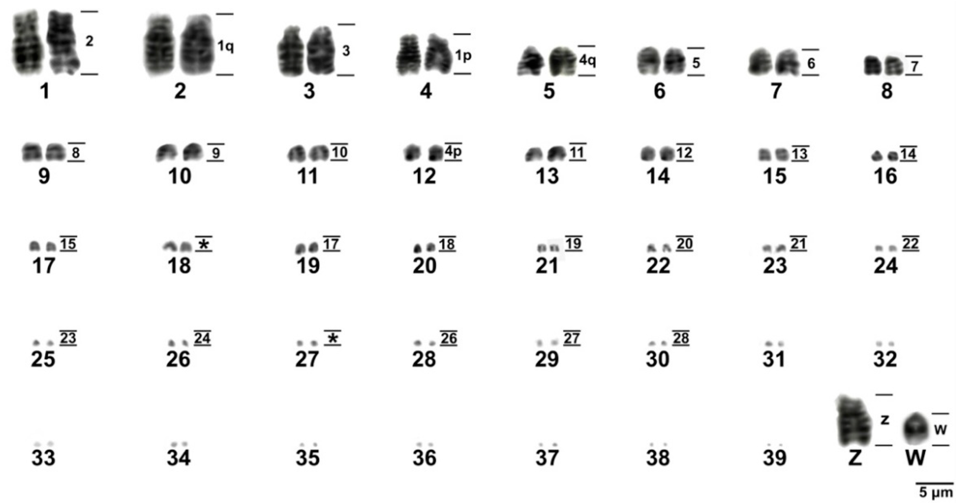 Animals 11 01456 g006 Animals 11 01456 g006