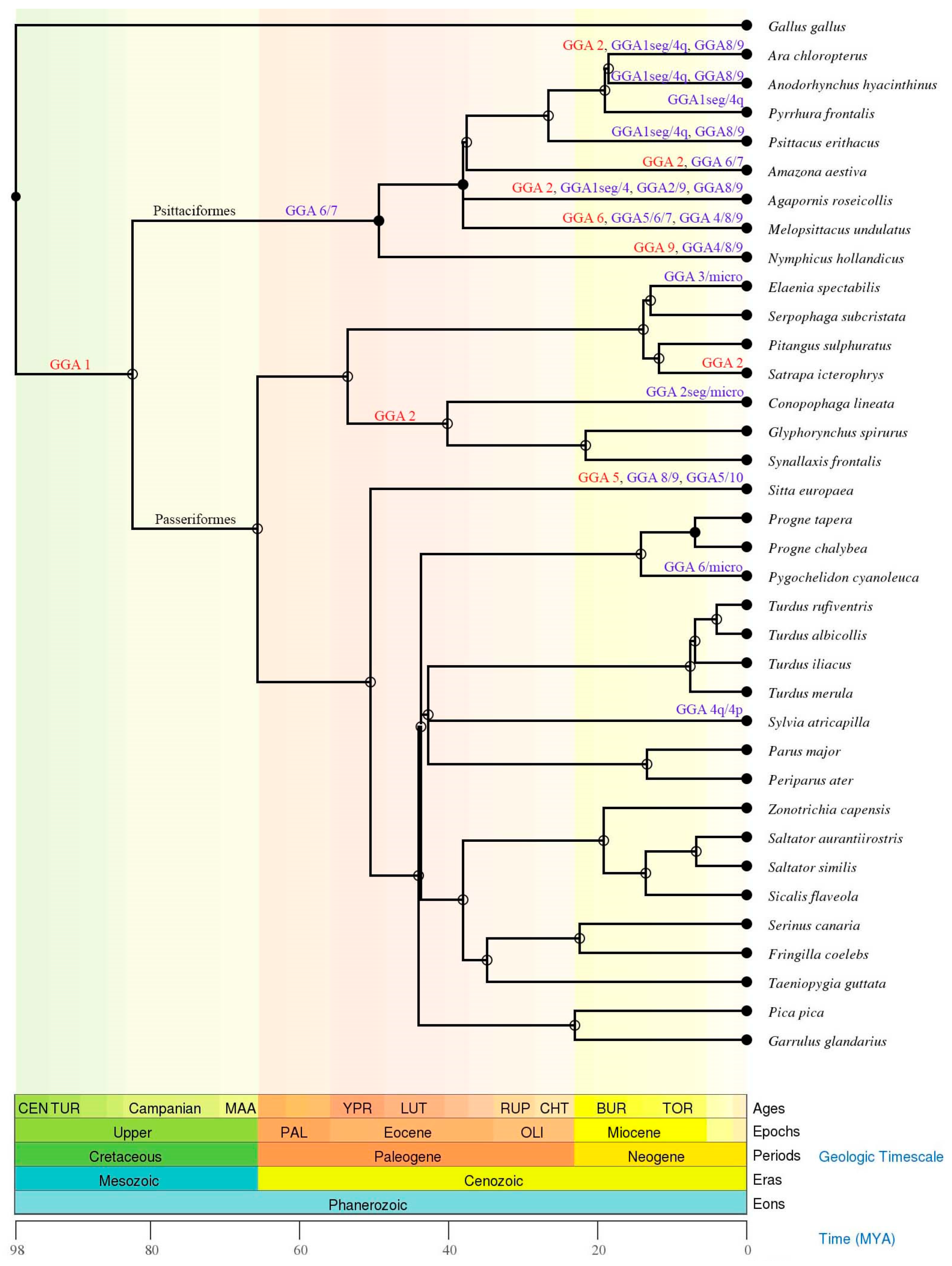 Animals 11 01456 g007 Animals 11 01456 g007