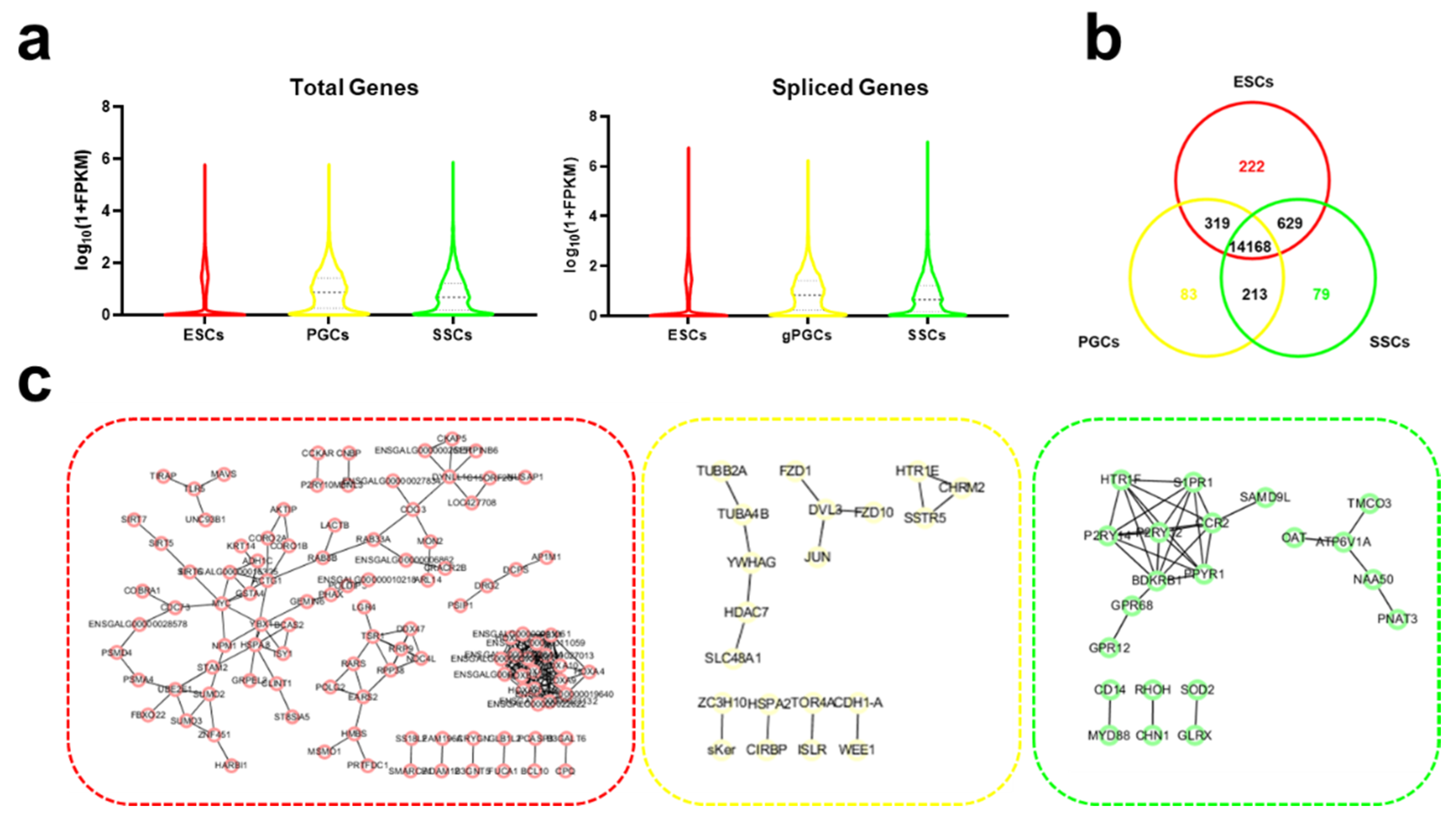 Animals 11 01469 g003 Animals 11 01469 g003