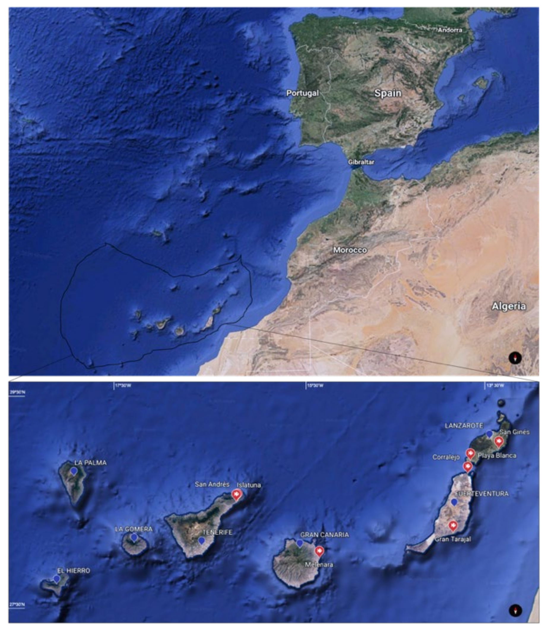 Animals 11 01471 g001