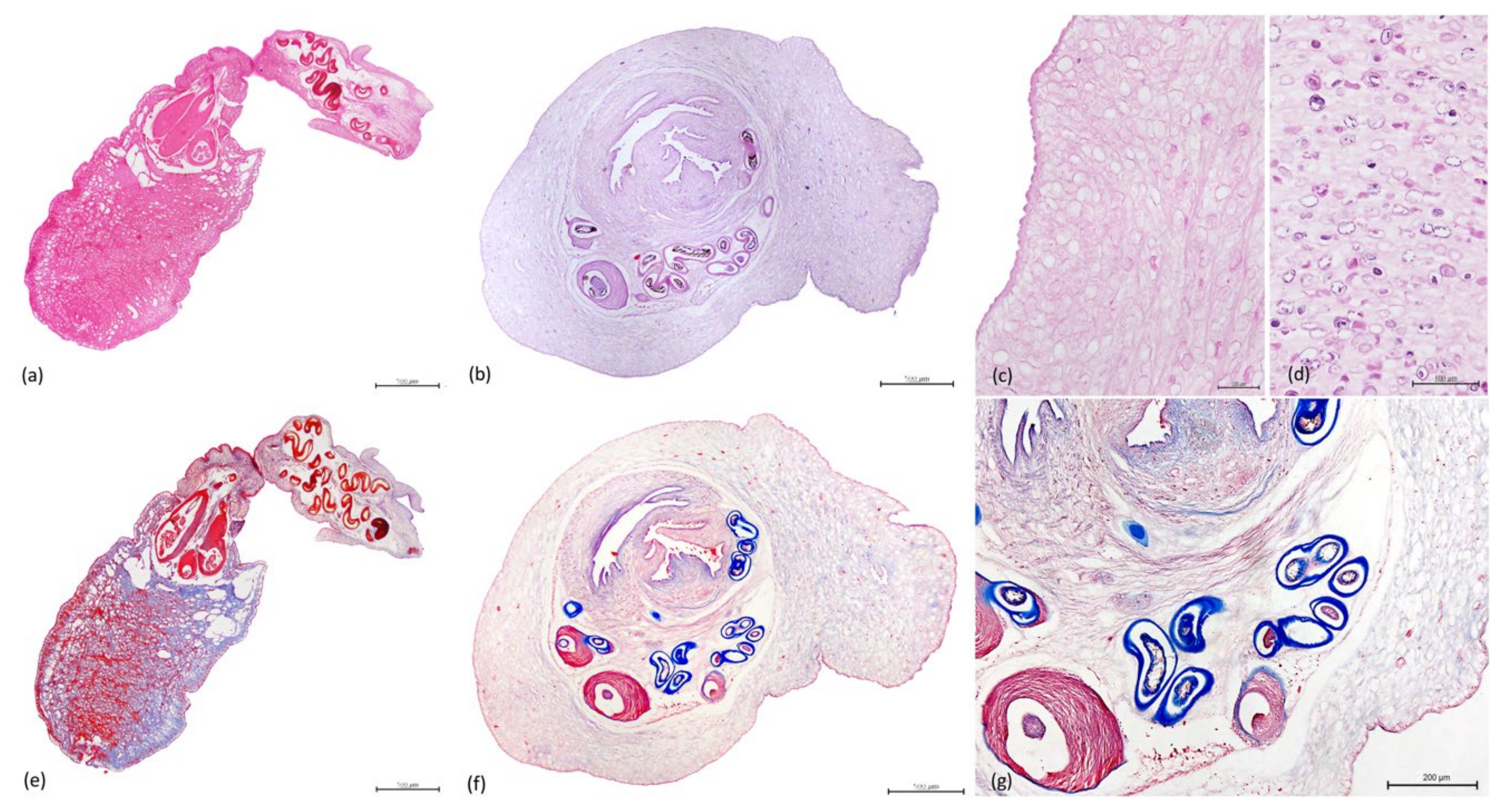 Animals 11 01471 g008