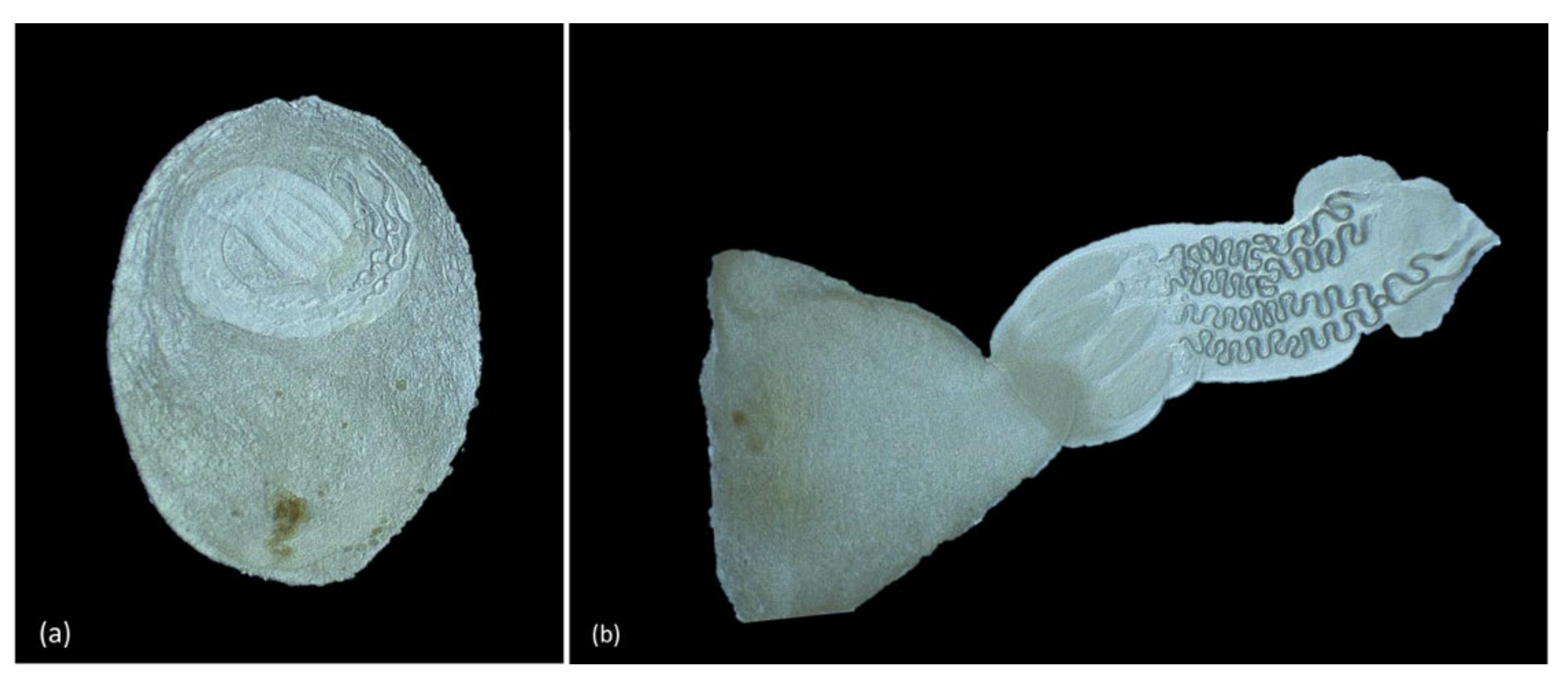 Animals 11 01471 g009