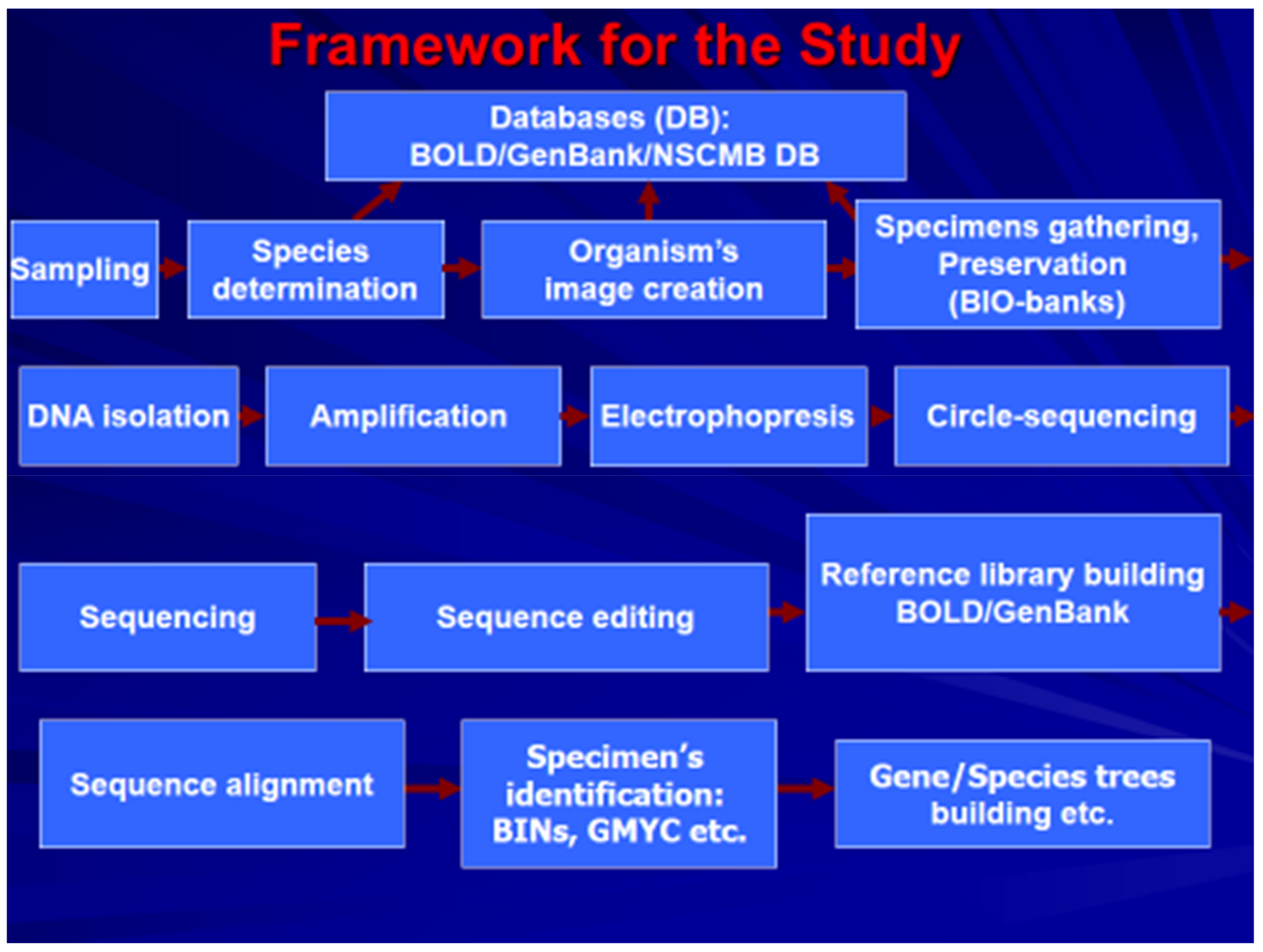 Animals 11 01473 g001