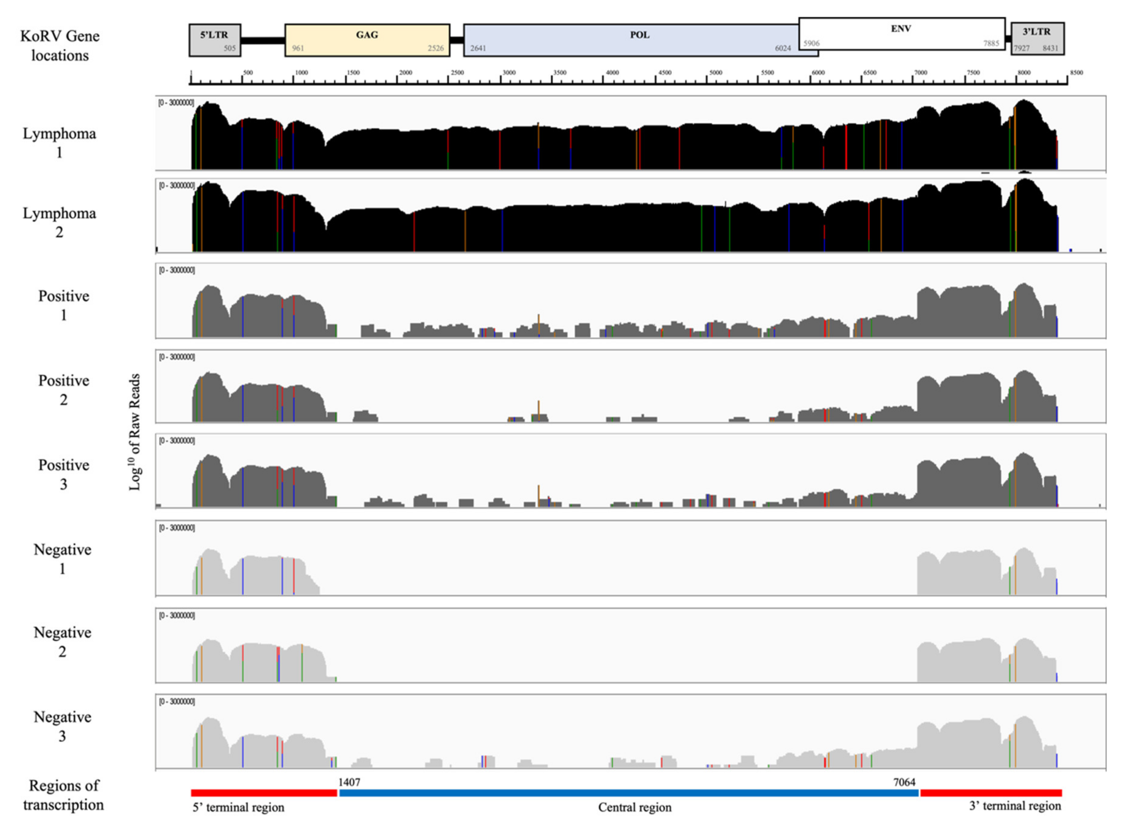 Animals 11 01477 g002 Animals 11 01477 g002