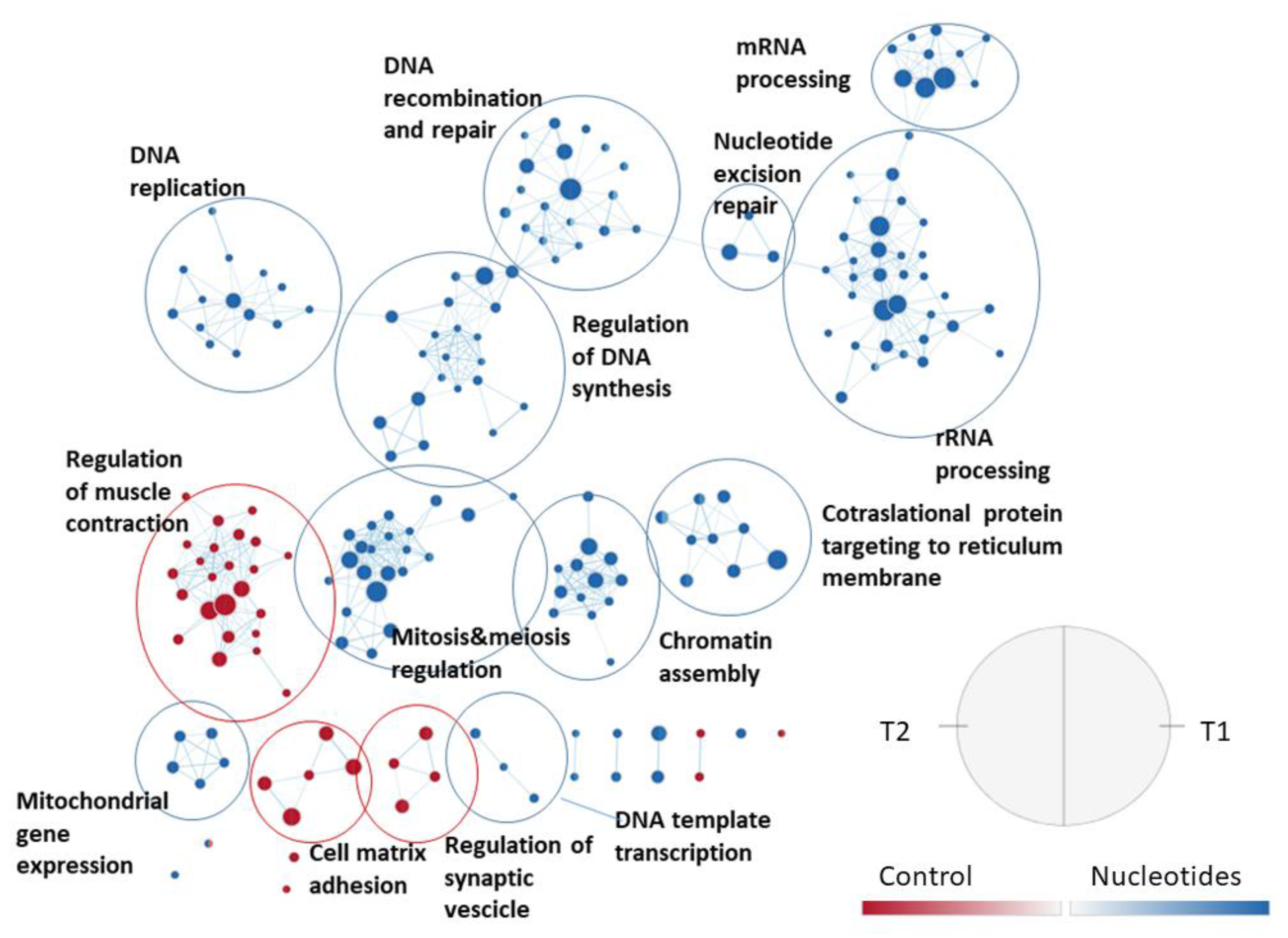 Animals 11 01489 g005 Animals 11 01489 g005