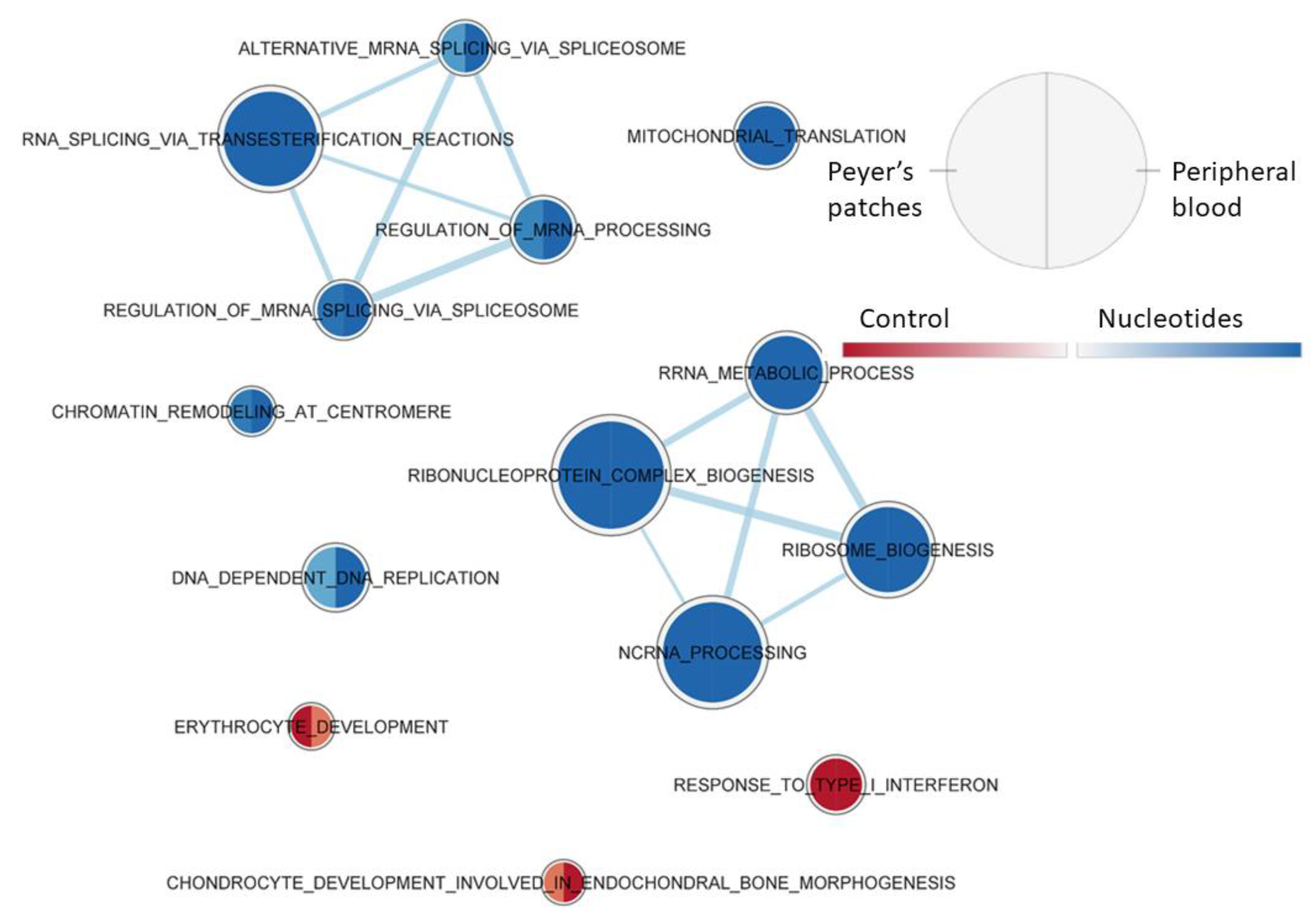 Animals 11 01489 g006 Animals 11 01489 g006