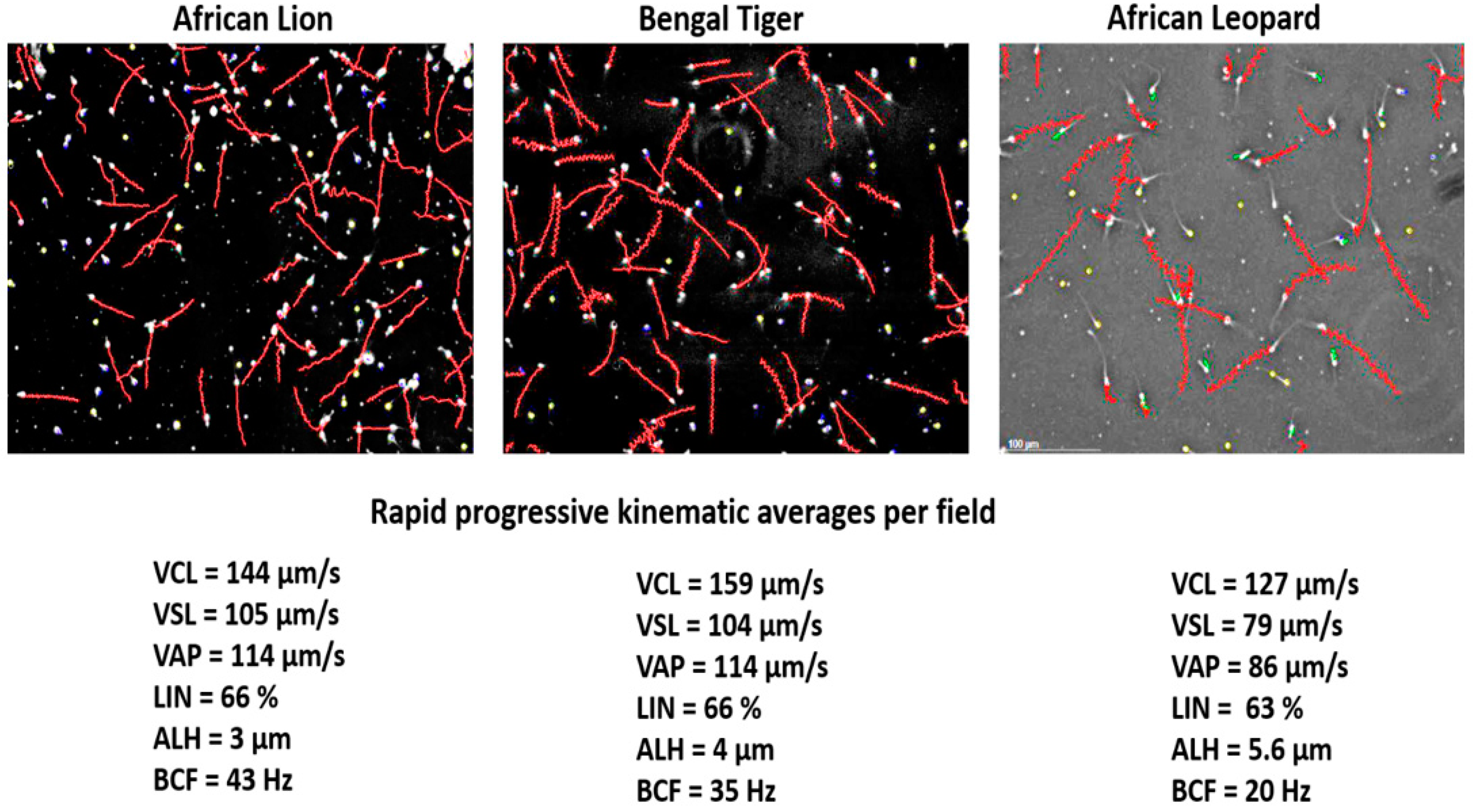 Animals 11 01491 g005