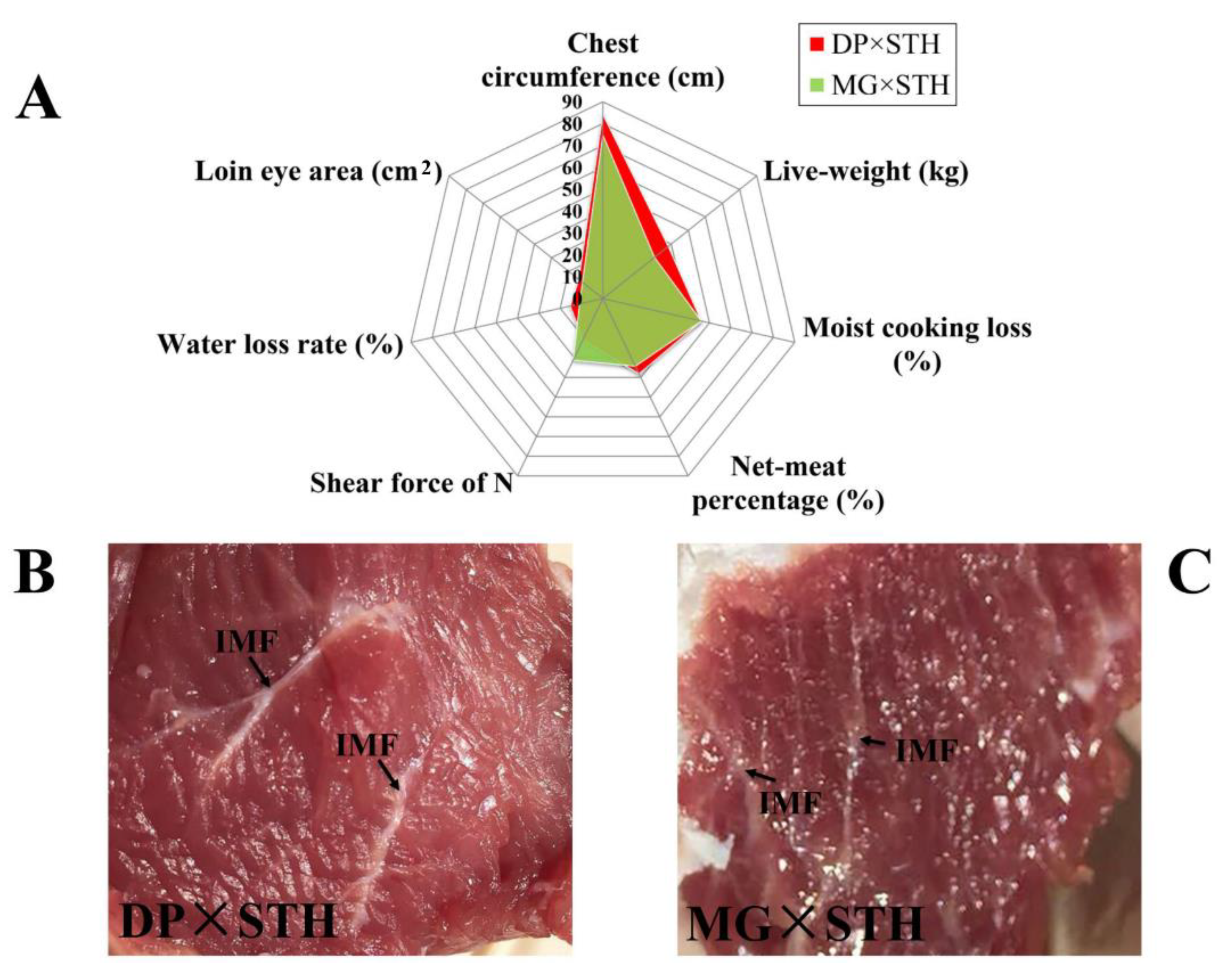 Animals 11 01492 g001