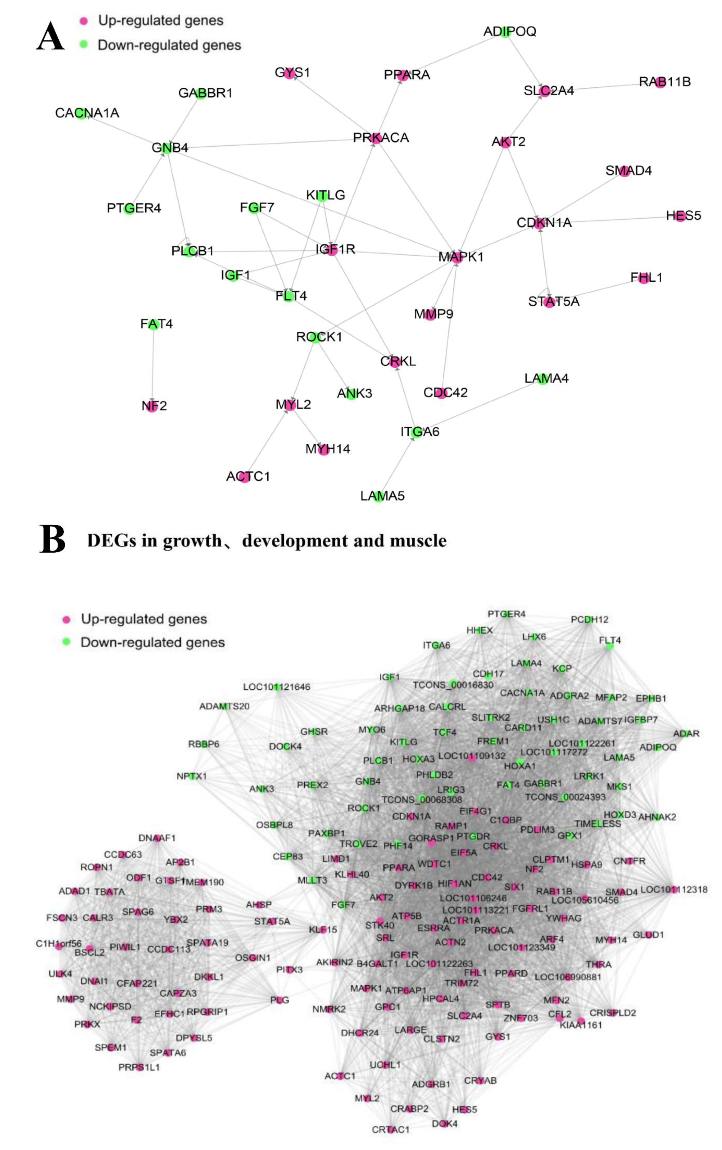 Animals 11 01492 g006