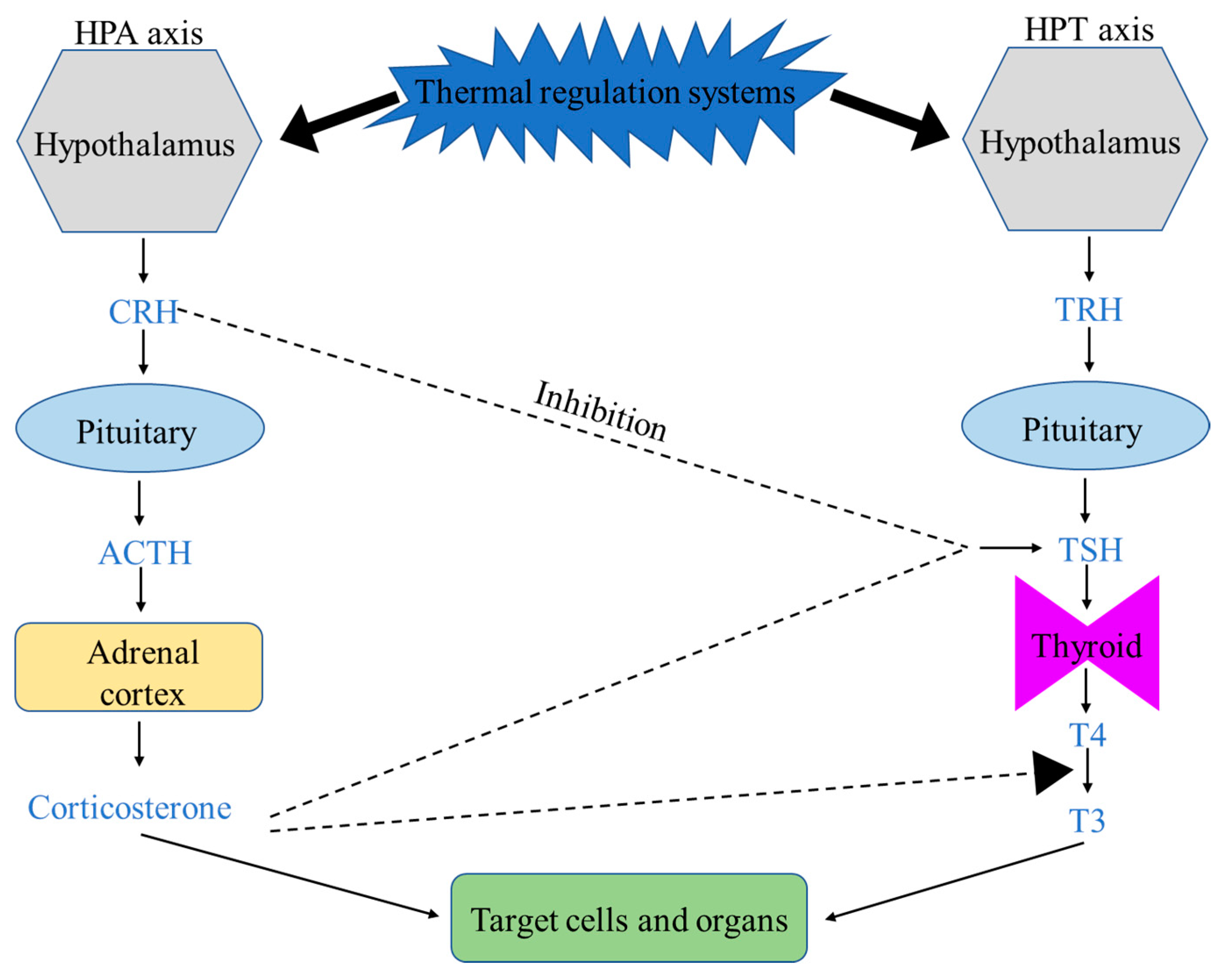 Animals 11 01494 g001 Animals 11 01494 g001