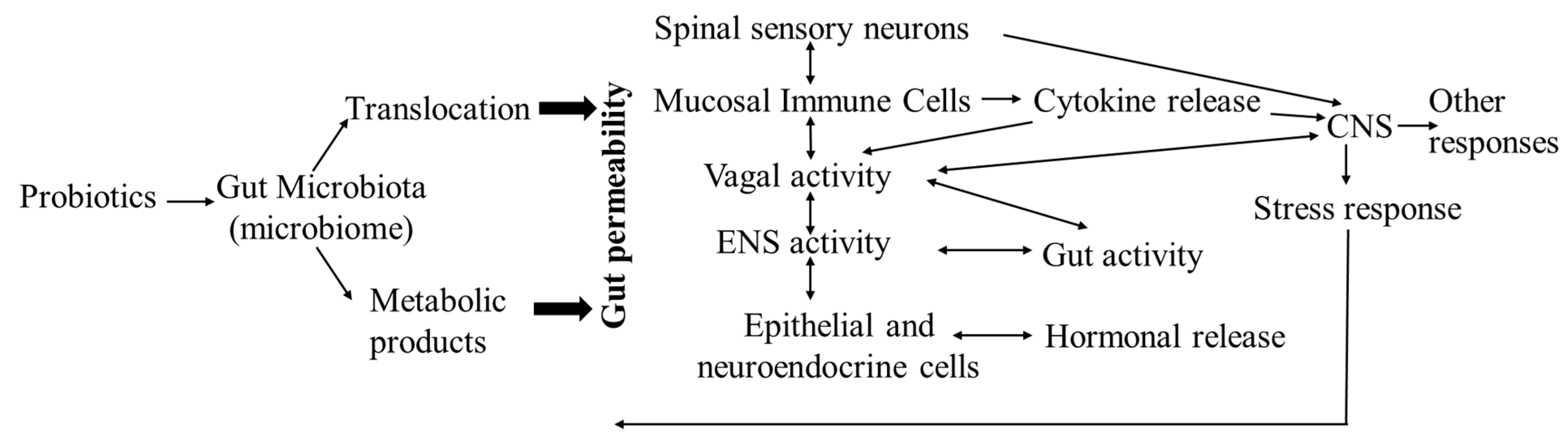 Animals 11 01494 g002 Animals 11 01494 g002