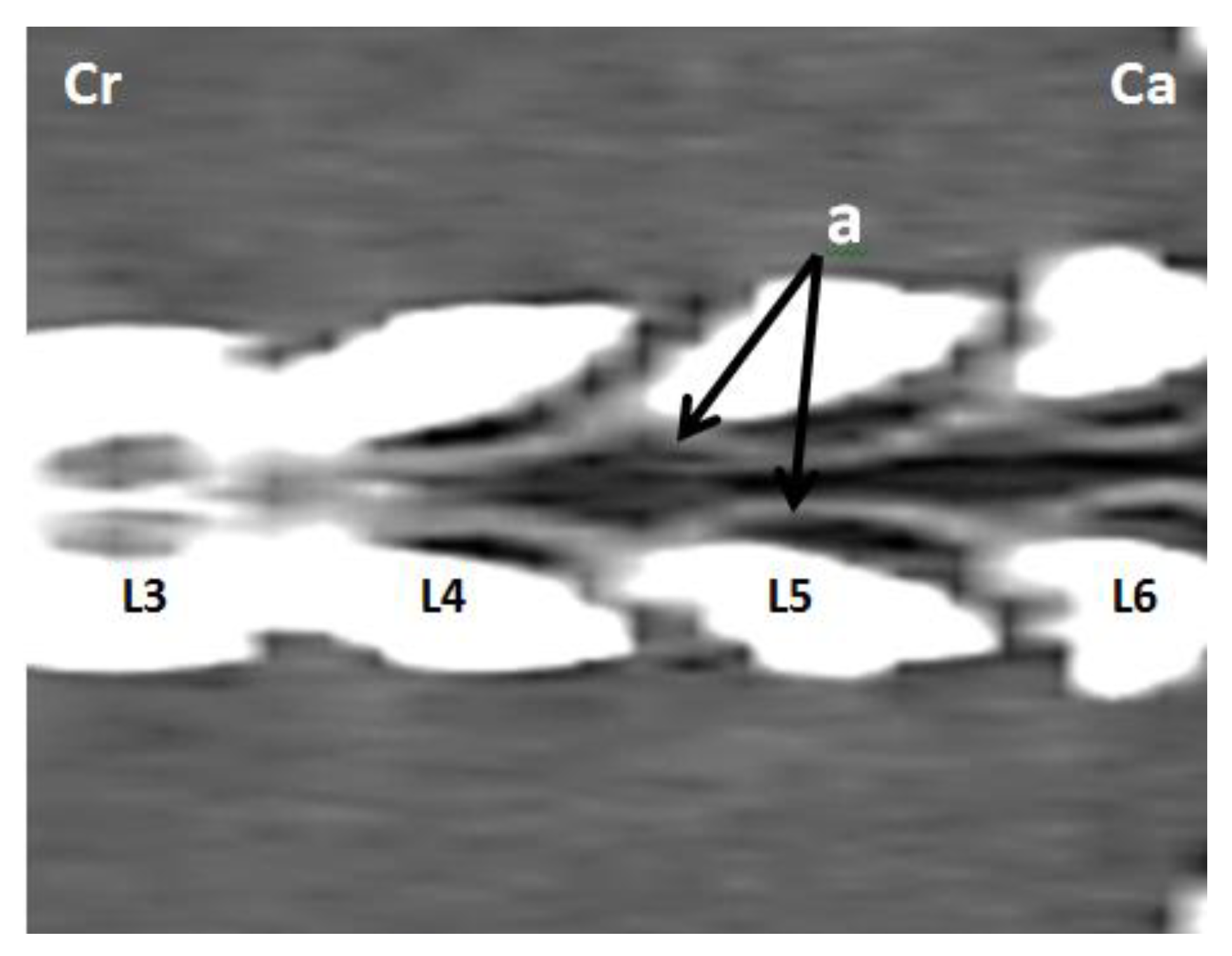 Animals 11 01502 g003 Animals 11 01502 g003