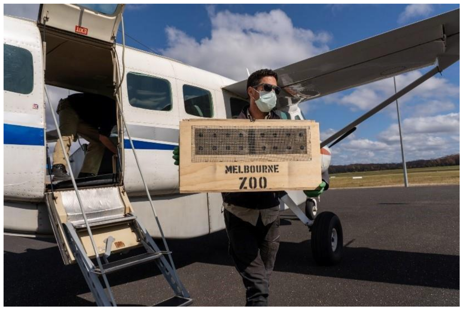 Animals 11 01515 g0a3