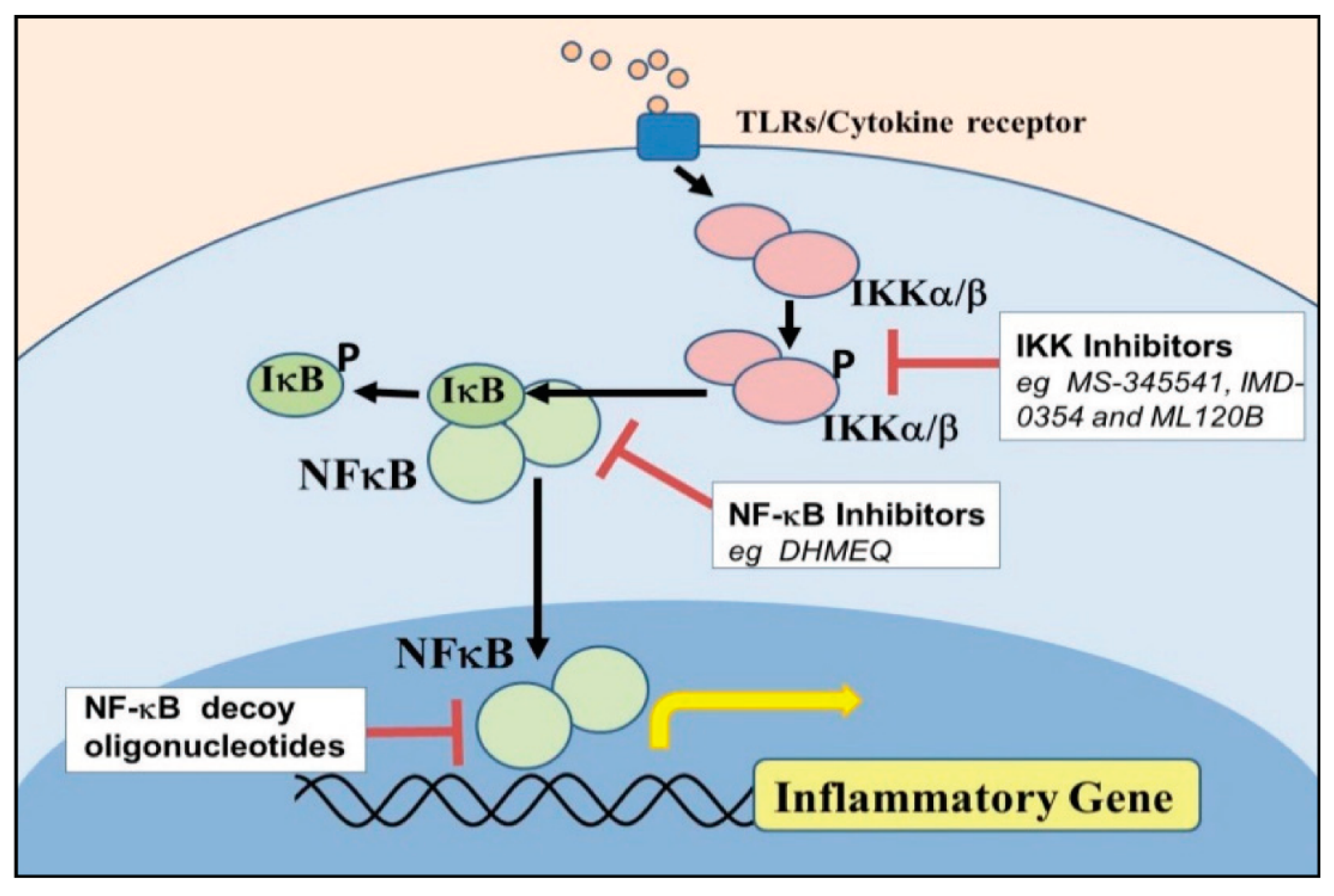 Animals 11 01516 g003