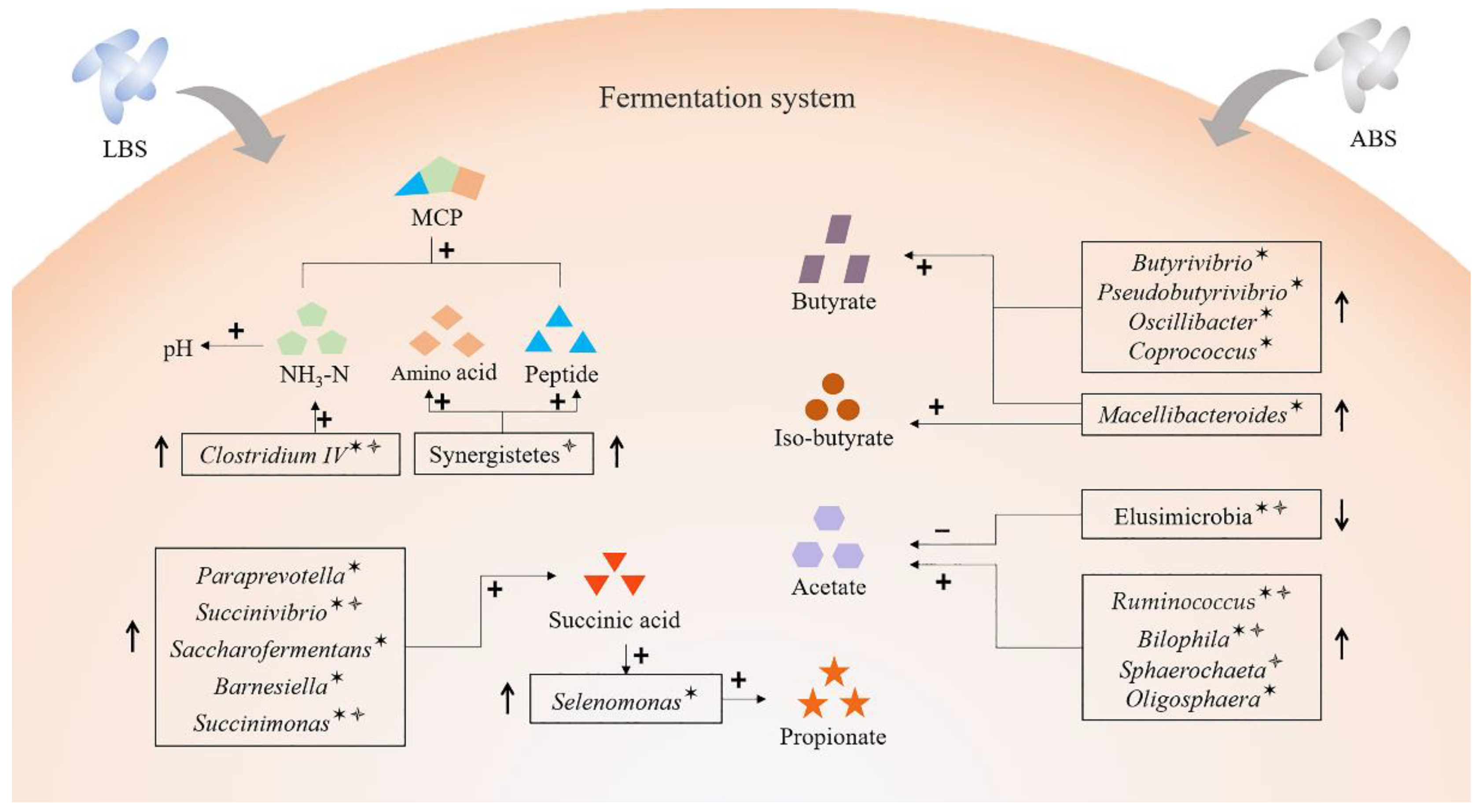 Animals 11 01519 g007 Animals 11 01519 g007