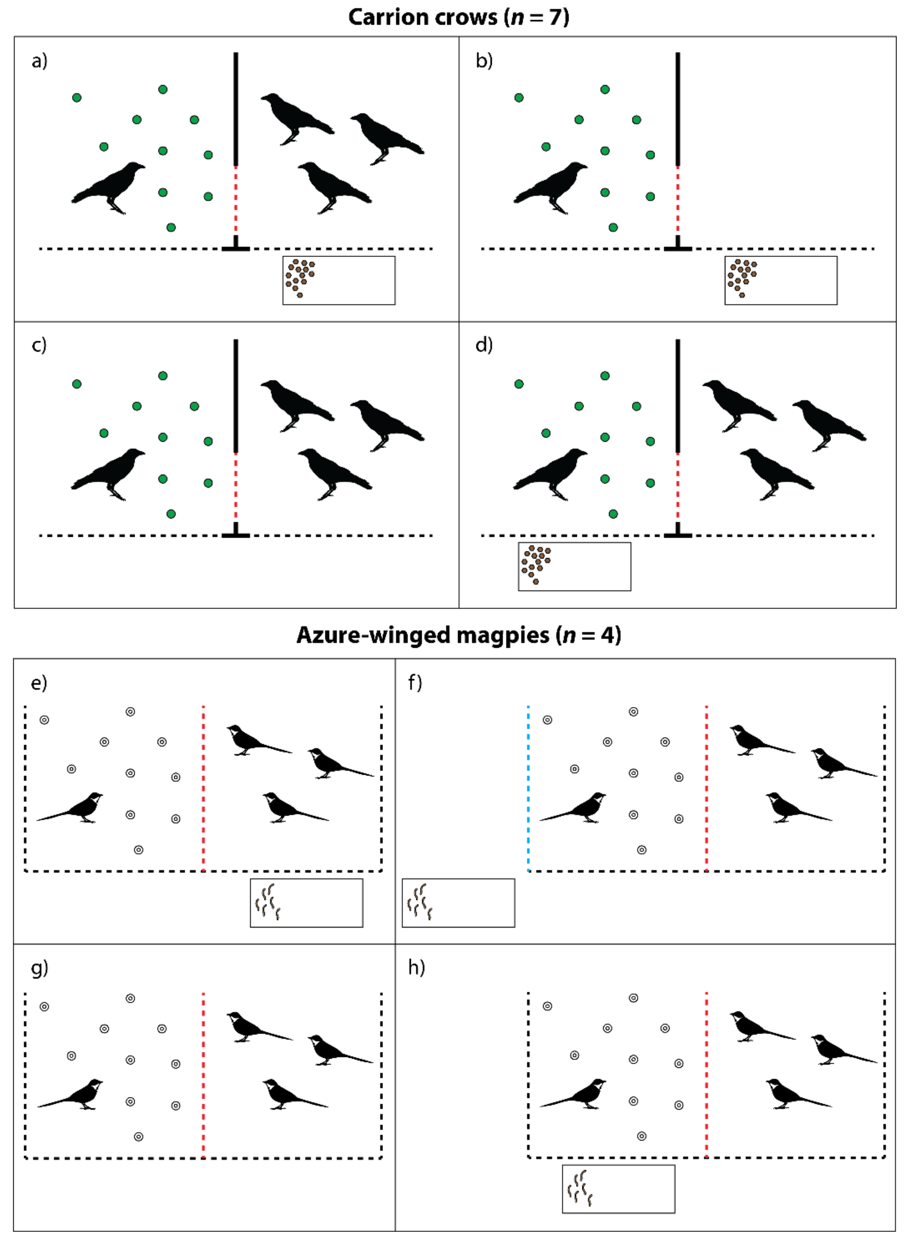 Animals 11 01526 g001 Animals 11 01526 g001