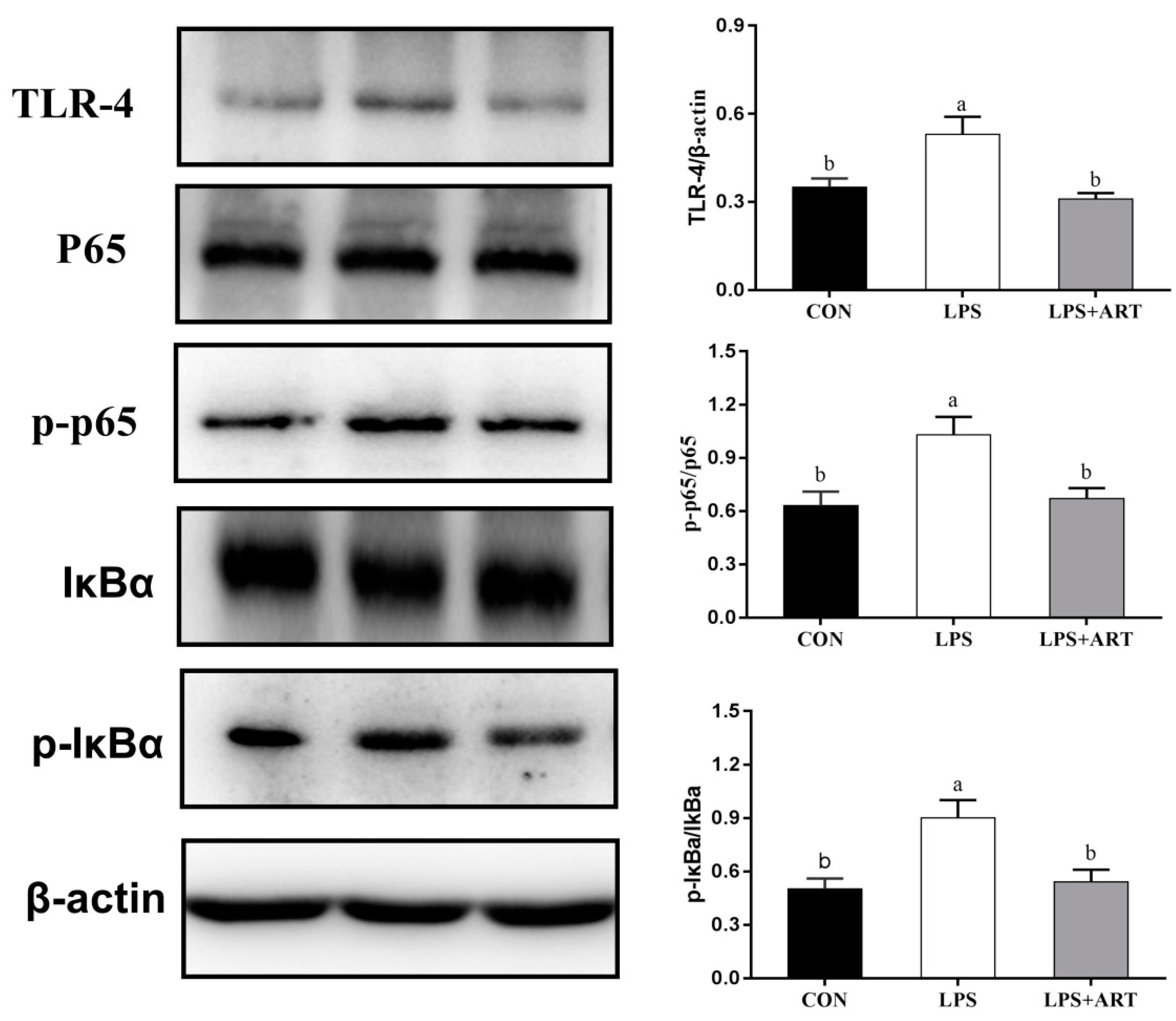 Animals 11 01528 g005 Animals 11 01528 g005