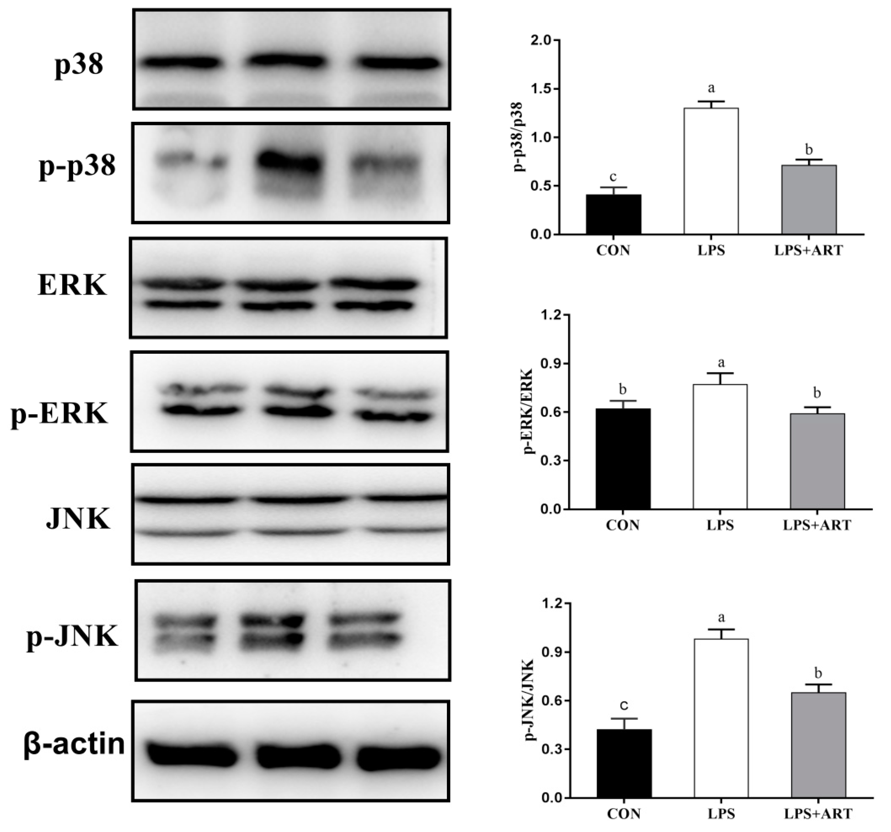 Animals 11 01528 g006 Animals 11 01528 g006