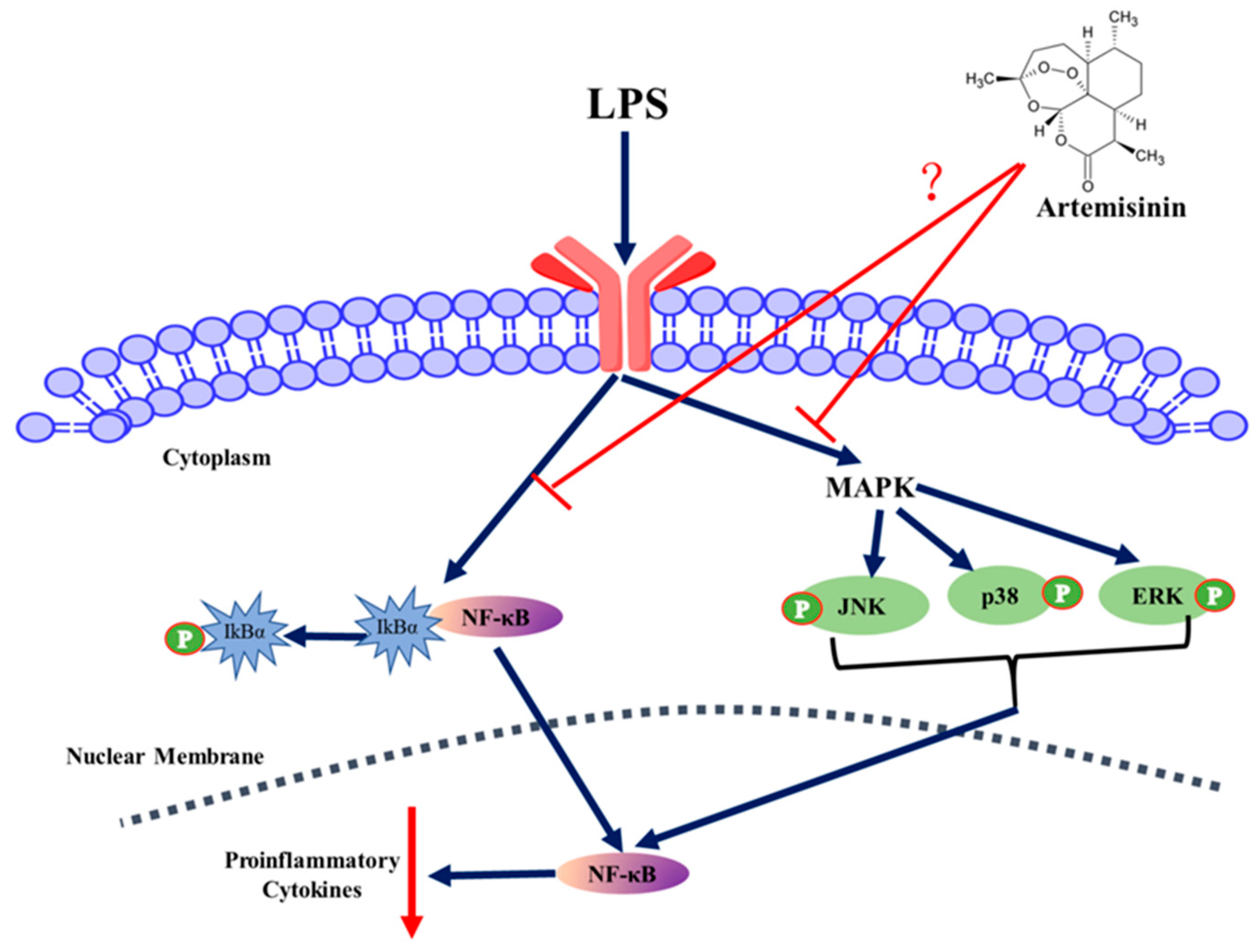 Animals 11 01528 g007 Animals 11 01528 g007