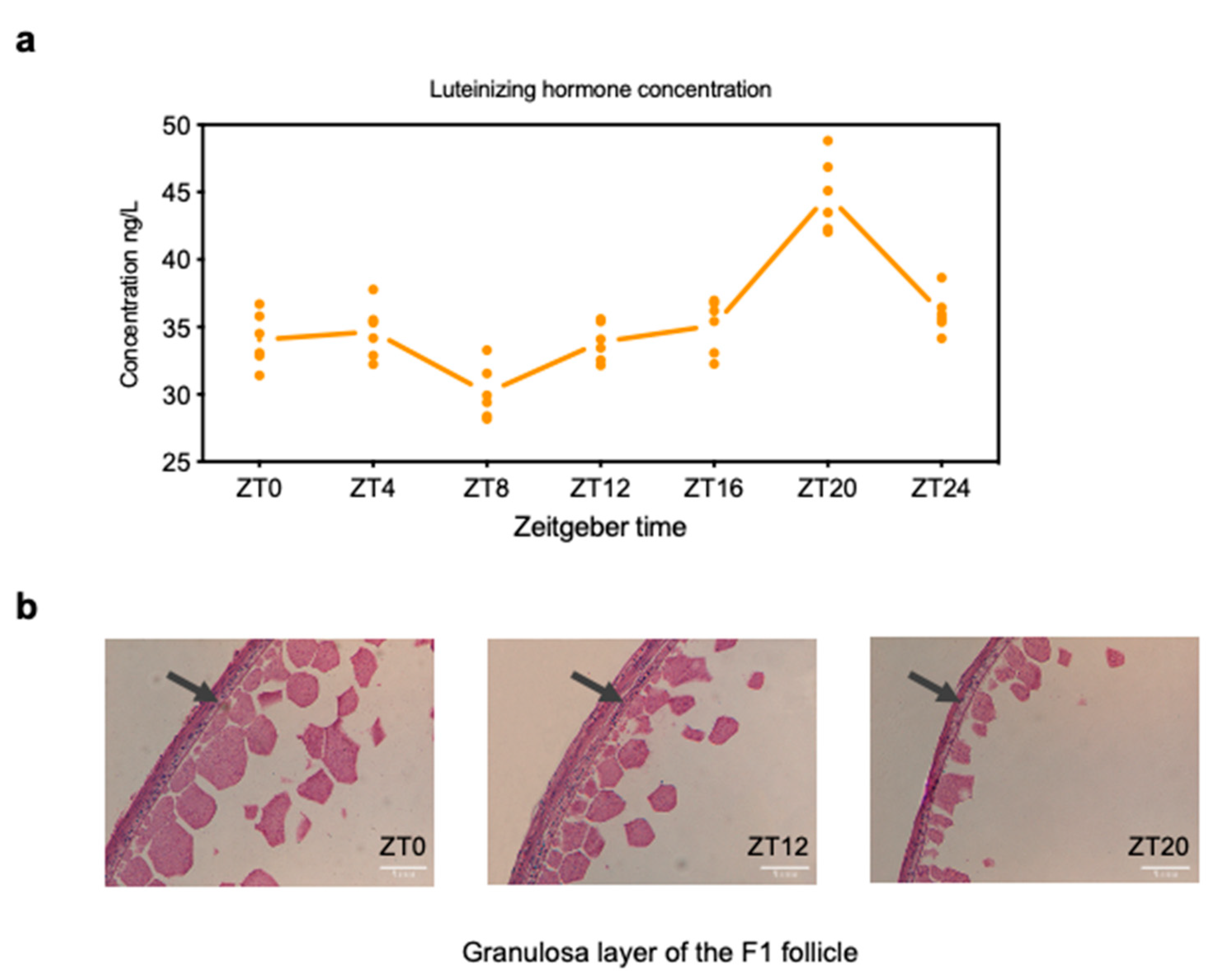 Animals 11 01533 g001 Animals 11 01533 g001