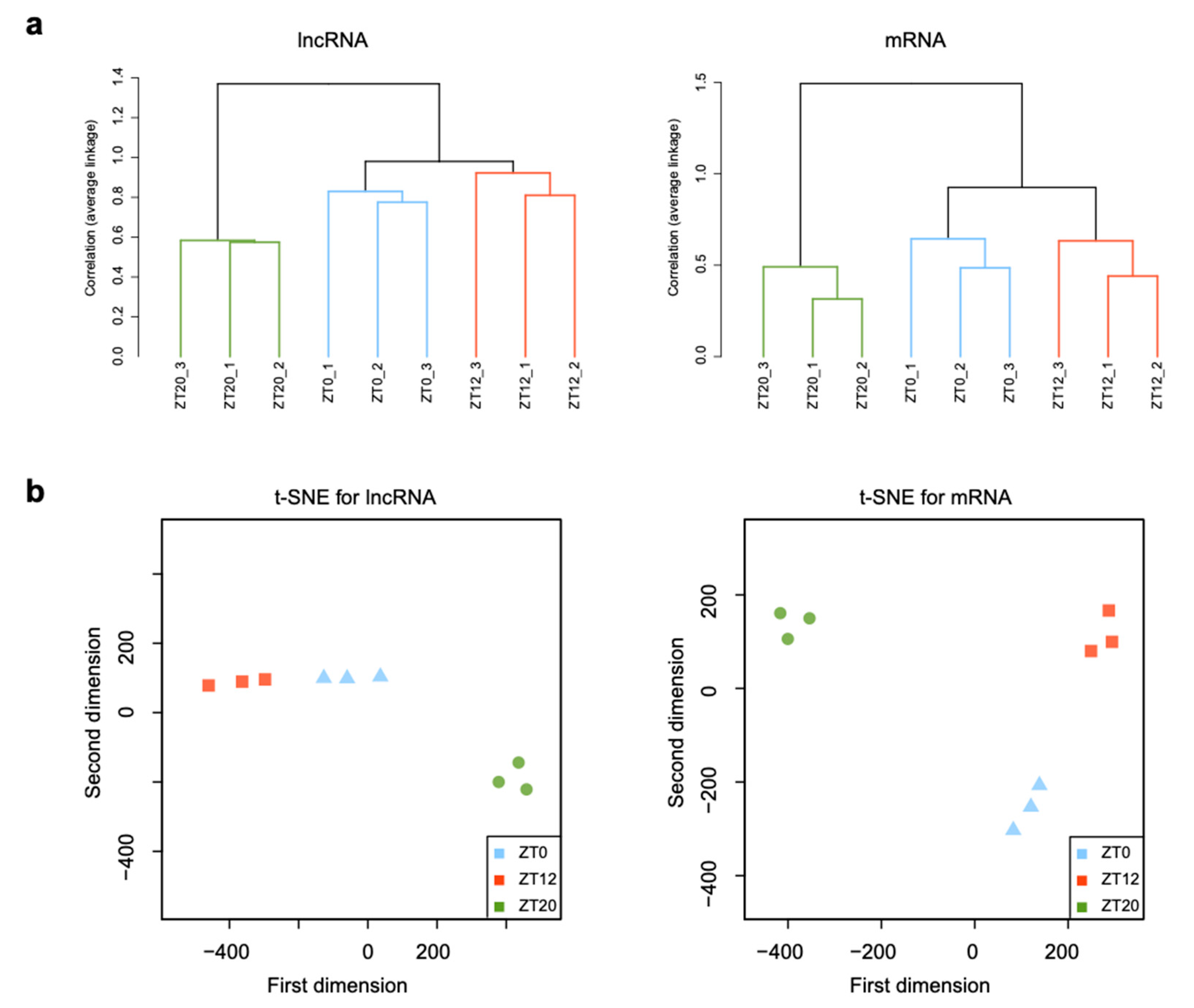Animals 11 01533 g002 Animals 11 01533 g002