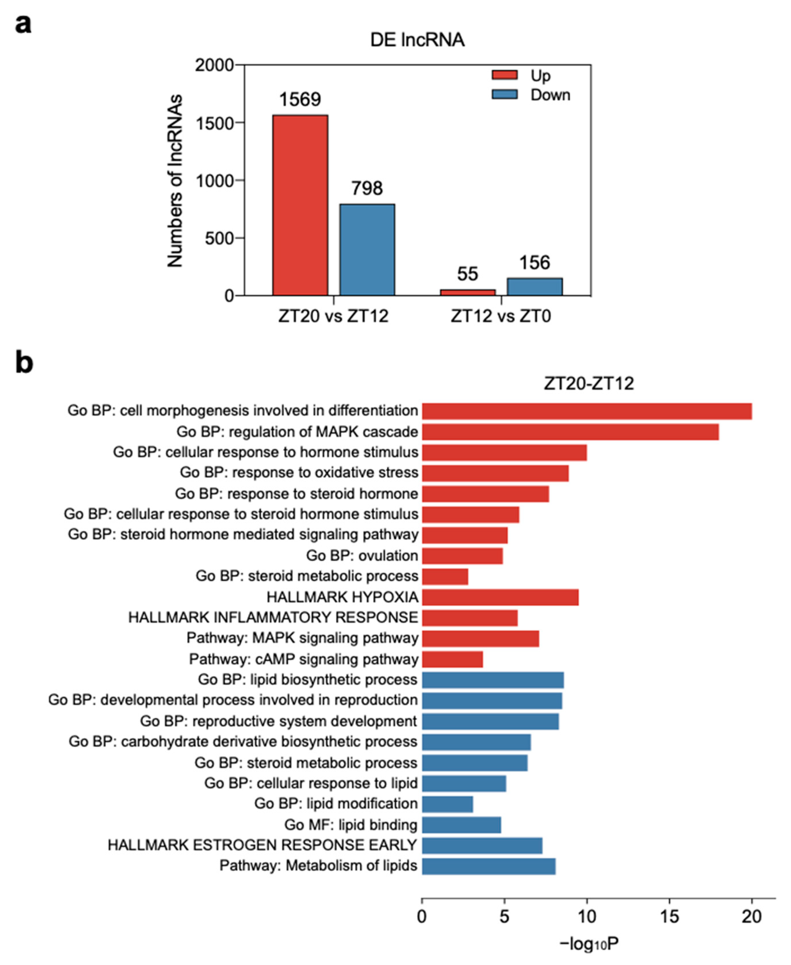 Animals 11 01533 g004 Animals 11 01533 g004